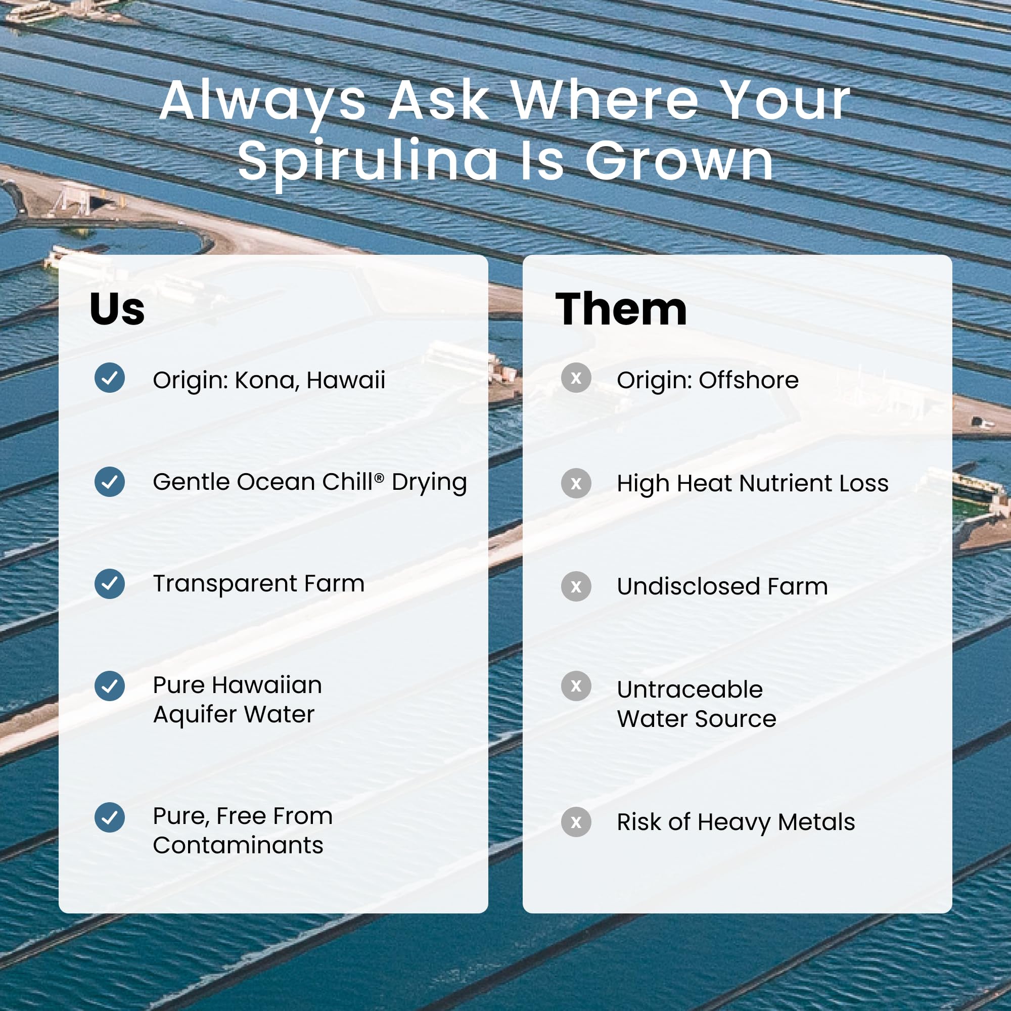 Nutrex Spirulina Superfood, 9.53 oz