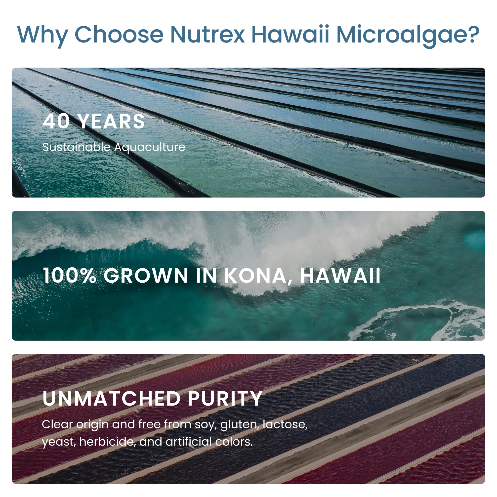 Nutrex Spirulina Superfood, 9.53 oz