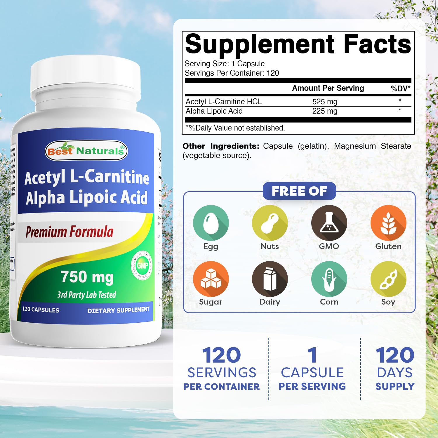 Best Naturals Acetyl L-Carnitine and Alpha Lipoic Acid 750 mg 120 Capsules