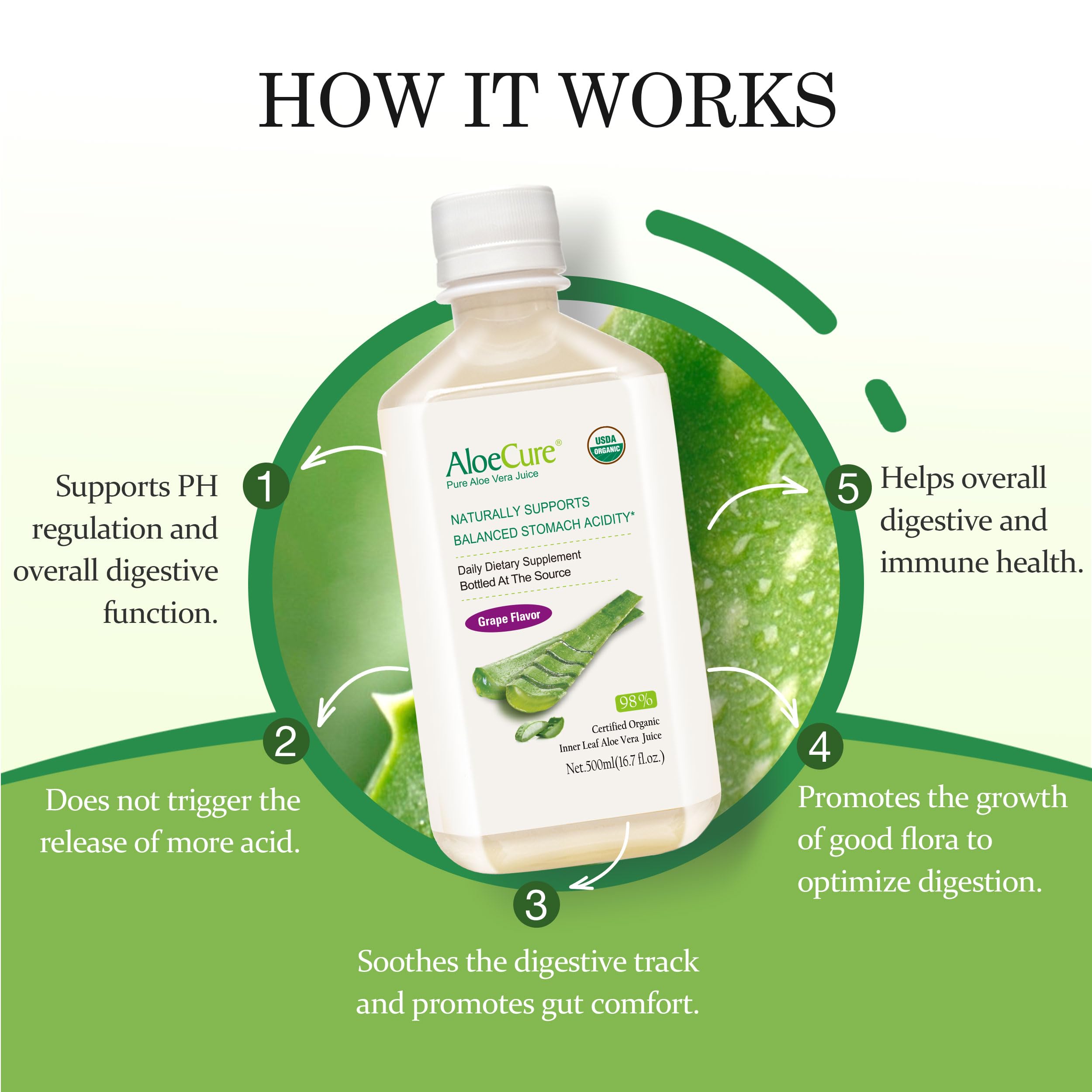 AloeCure USDA Organic Aloe Vera Juice Grape Flavor, Made Within 12 Hours of Harvest - Pure Aloe Vera Digestive & Immune Health Supplement, Helps Maintain Balanced Stomach Acidity, 16.7oz x 2 Btls