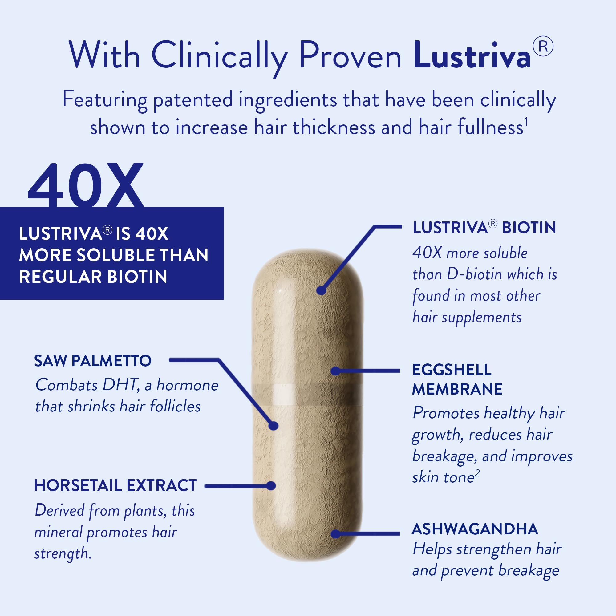 Routine Wellness Hair Growth Supplement – CLINICALLY Tested Thicker, Fuller-Looking Hair Support with Biotin & Key Nutrients, Vegetarian & Gluten-Free Vitamins - 2 Bottles, 60 Day Supply