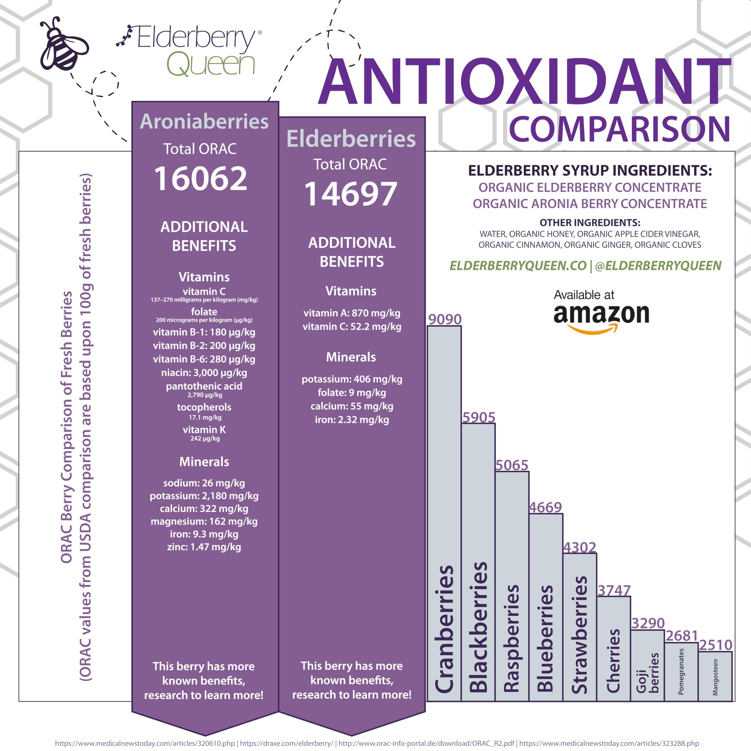 Elderberry Queen Organic Elderberry Syrup 30 Fl Oz - Immune Support Formula with Sambucus Black Elderberry & Aronia Berry - Pure Natural Certified Organic Elderberry Syrup for Kids and Adults