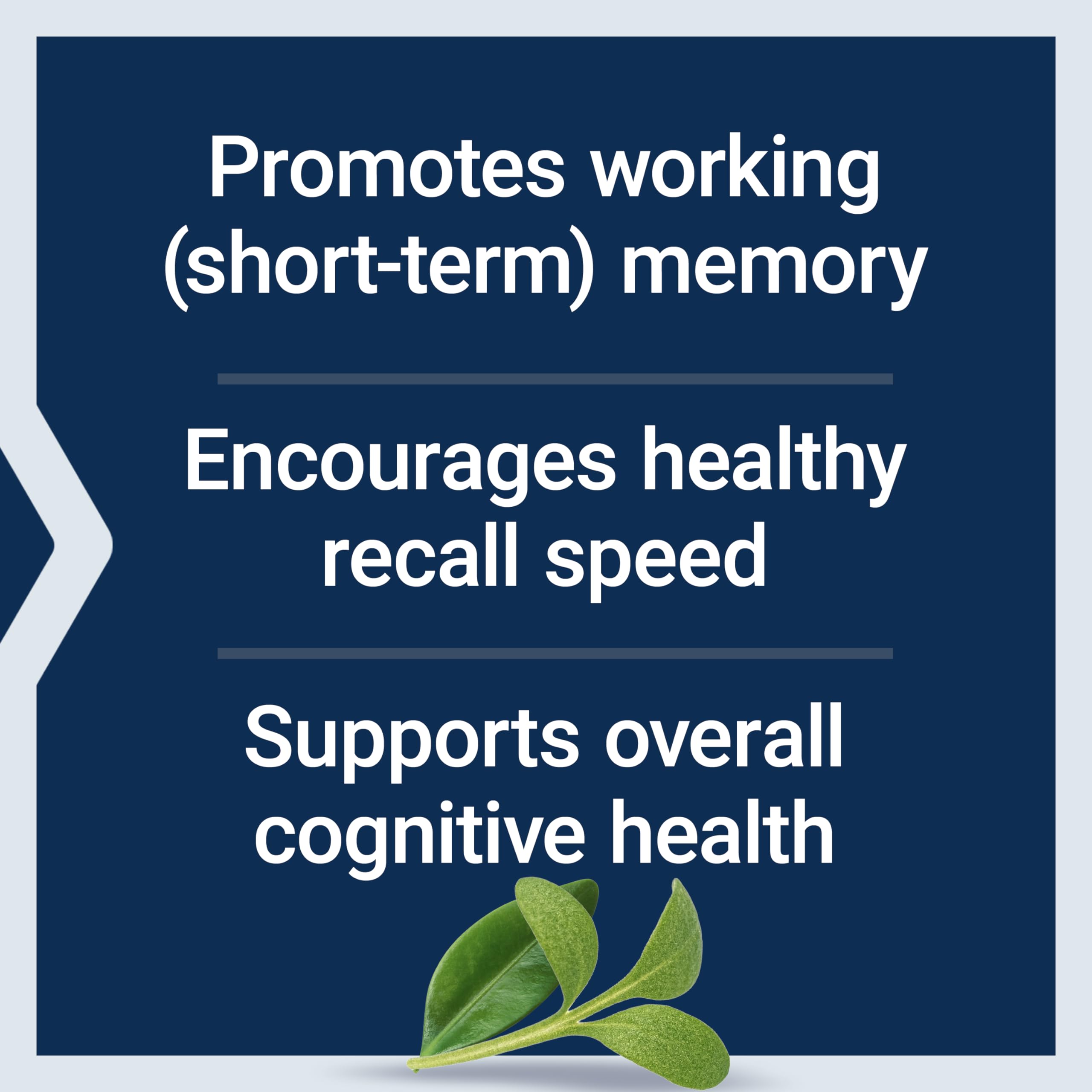 Life Extension Neuro-Mag Magnesium L-Threonate Powder (Tropical Punch) - Ultra-Absorbable Magnesium - Supports Memory, Focus, Cognitive Function & Mood - Gluten free, Non-GMO, Vegetarian (30 Servings)