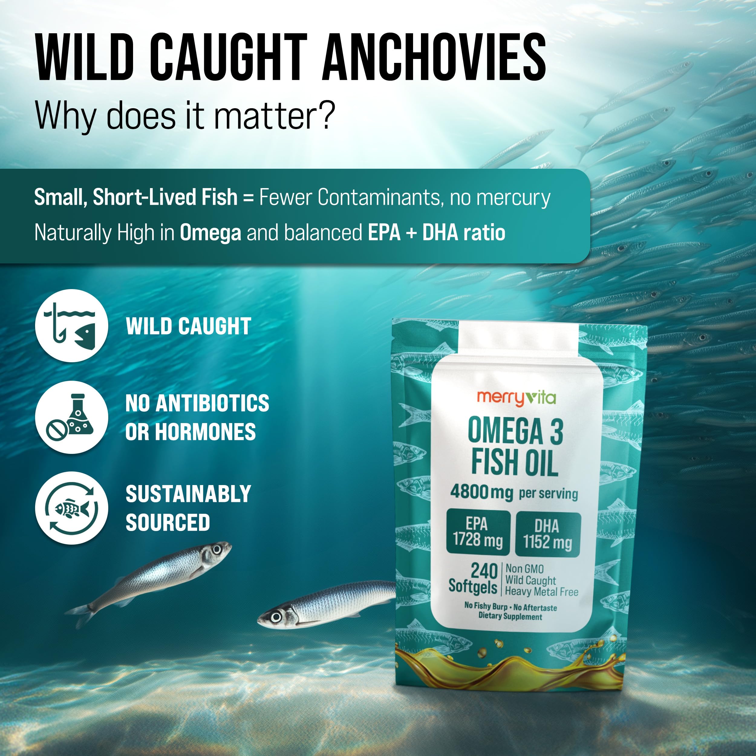 Omega 3 Fish Oil 4800 mg – EPA 1728 mg | DHA 1152 mg from Wild-Caught Anchovies – Burpless Mini Softgels – Pure Omega-3 Fatty Acid Supplement – Non-GMO, Gluten-Free, No Aftertaste – 240 Capsules