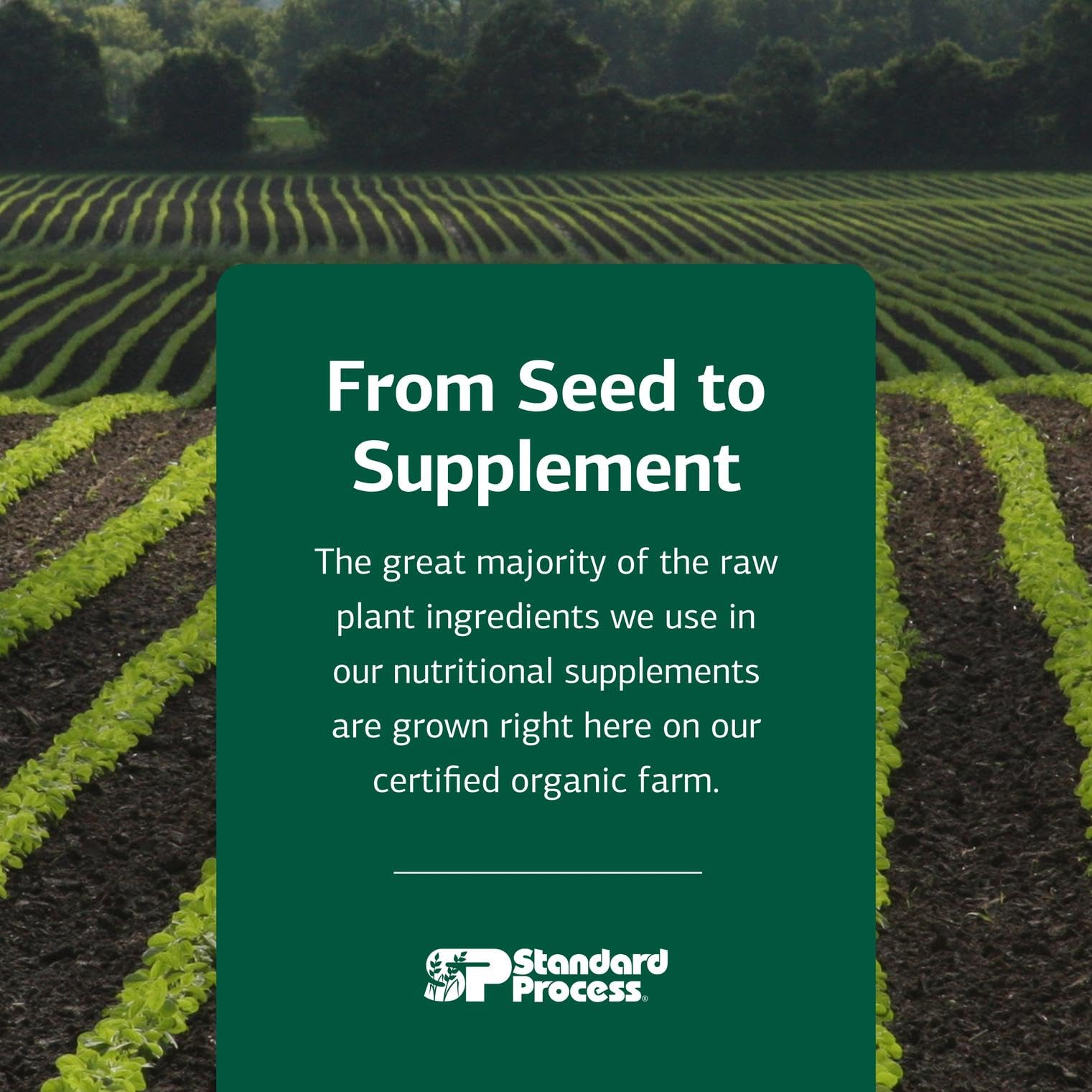 Standard Process Antronex - Liver Health Supplement - Gluten-Free, Non-Dairy & Non-Soy - 180 Tablets (180 Servings)