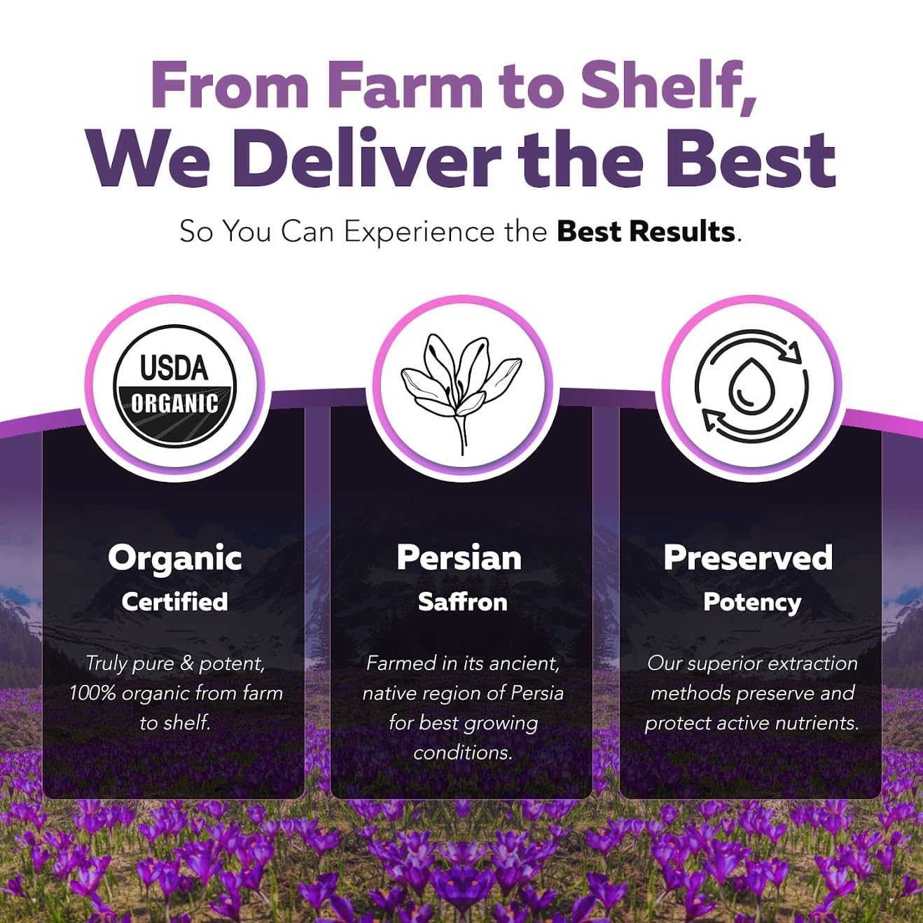 Organic Saffron Extract: Optimized Extract with Safromotivines, Safranal, and Crocins – Clinically Studied | Premium Persian Sargol Quality | Supports Mood, Calmness, and Relaxation – 30 Servings