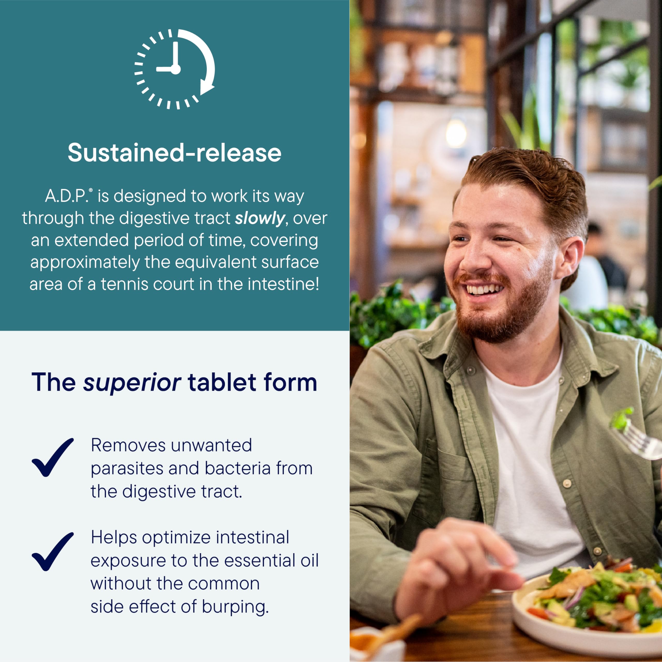 Biotics Research A.D.P. Emulsified Oil of Oregano Tablets for GI Health -Sustained Release for High Absorption Contains Carvacrol, Wild Oregano Oil 50mg/S - Patented Formula -Non GMO –120 Tablets