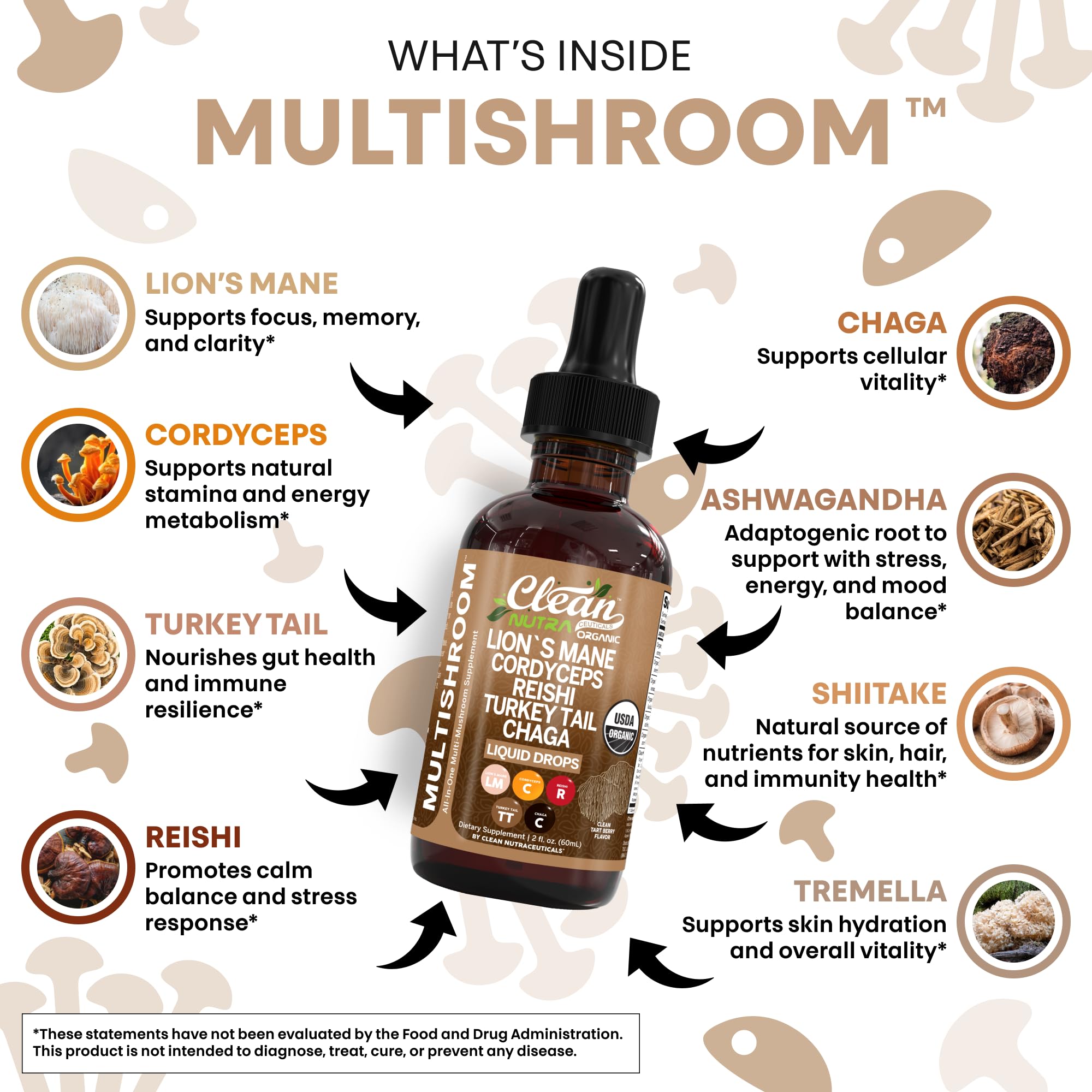 Organic Lions Mane Mushroom Supplement Liquid Drops + Turkey Tail Cordyceps Reishi Chaga Shitake Maitake Tremella Oyster Mushrooms Poria and Enokitake Complex Blend by Clean Nutra