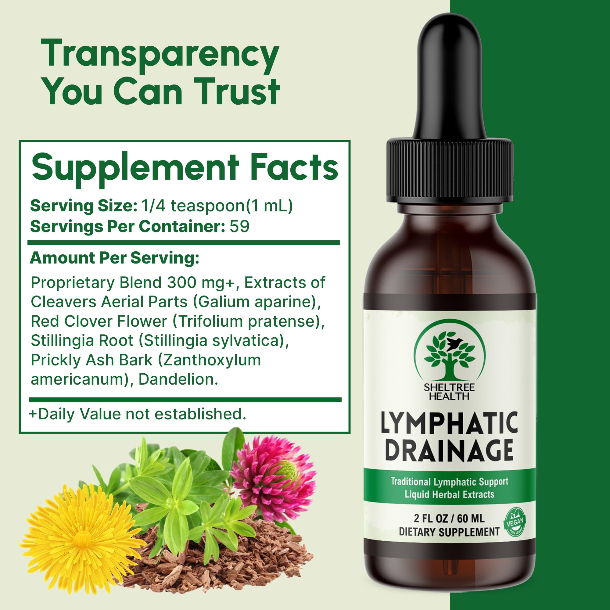 SHELTREE HEALTH Lymphatic Drainage Drops, 2 Fl. Oz | Organic Lymphatic Drainage Supplements with Cleavers, Red Clover Flower, Stillingia Root, Prickly Ash Bark, Dandelion | Vegan | Non-GMO