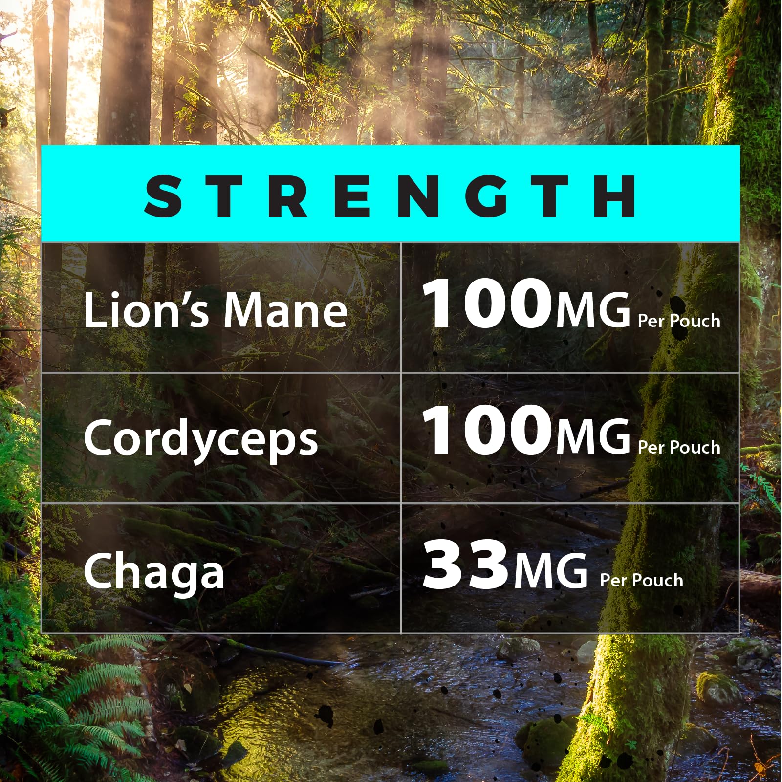 Fully Loaded Alpha Mushroom Pouches - Adaptogen Nootropic Pouches (5-Pack, Vanilla) - Lion's Mane, Cordyceps, & Chaga - 5 cans, 15 Pouches per can - Functional Mushrooms - Made in the USA