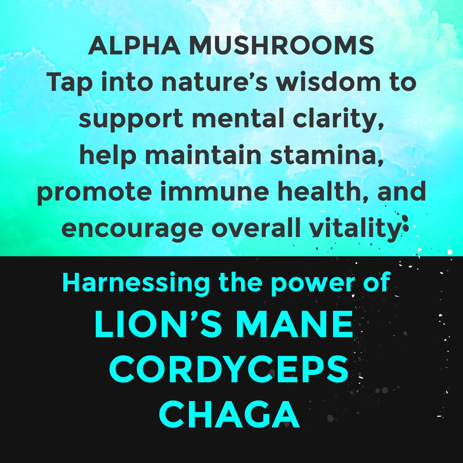 Fully Loaded Alpha Mushroom Pouches - Adaptogen Nootropic Pouches (5-Pack, Vanilla) - Lion's Mane, Cordyceps, & Chaga - 5 cans, 15 Pouches per can - Functional Mushrooms - Made in the USA