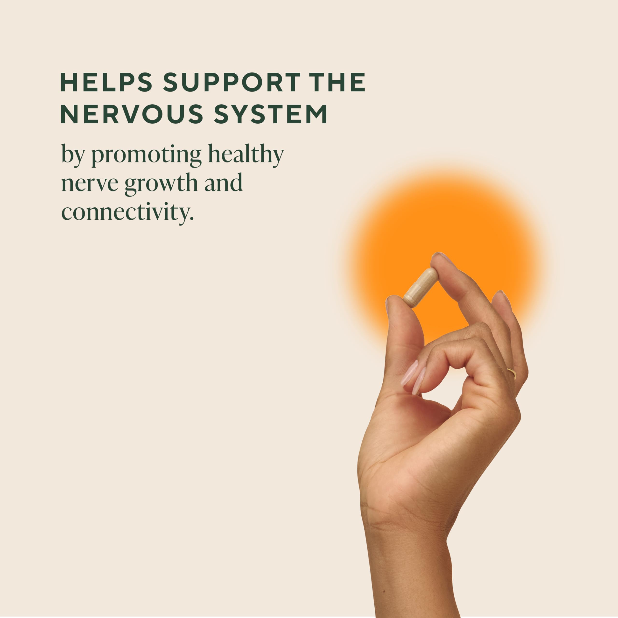 Om Lion’s Mane Mushroom Capsules - Organic Mushroom Supplement and Nootropic - Brain Supplements for Memory and Focus, 180 Count (60 Servings)​