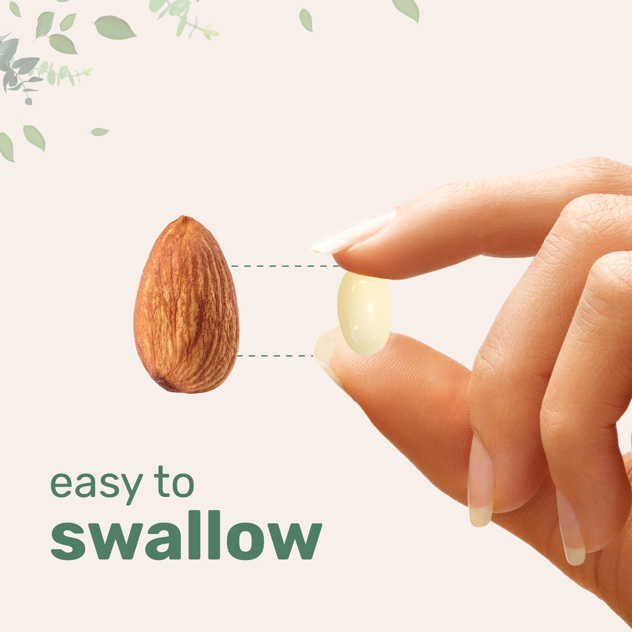 Vitamin B1 Benfotiamine 600mg Per Serving, 240 Coconut Oil Softgels | Bioavailable B Vitamins Supplement, Converted to Active Thiamine | Non-GMO, Soy Free