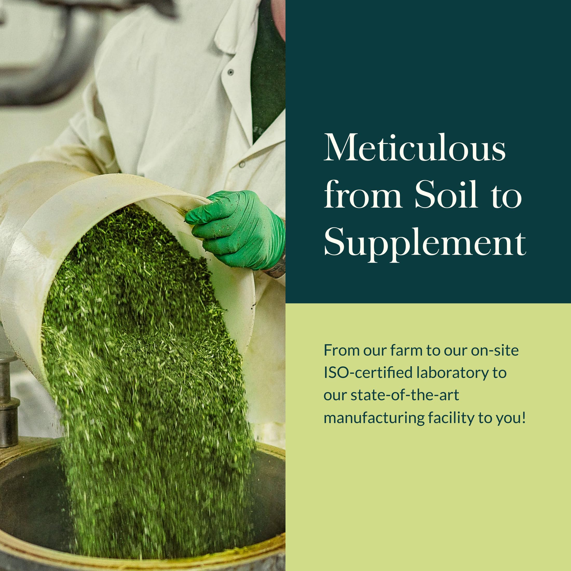 Gaia Herbs Milk Thistle - Liver Supplement & Cleanse Support for Helping to Maintain Healthy Liver Function* - 120 Vegan Capsules (40 Servings)