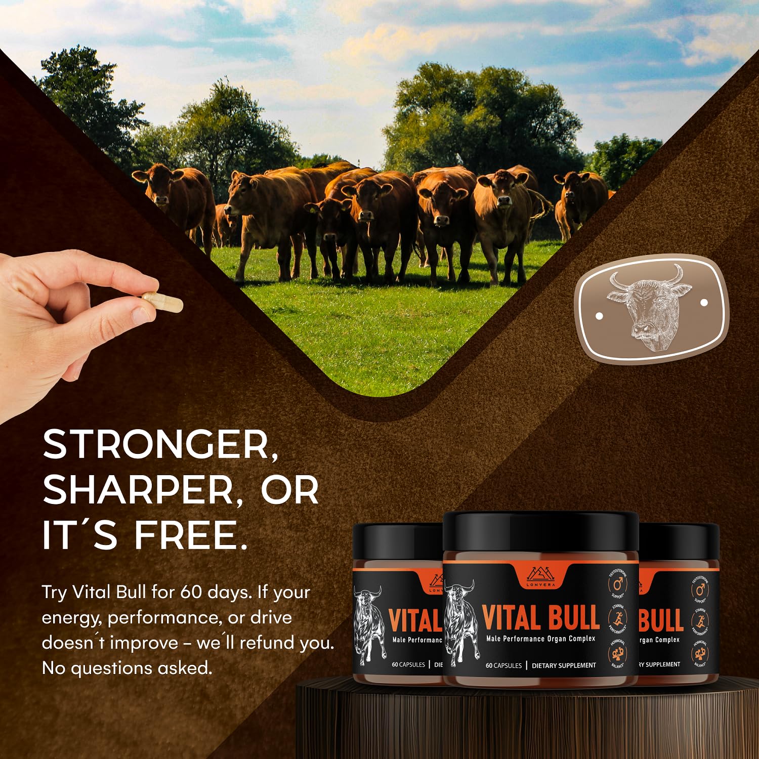 Vital Bull Beef Organ Supplement for Men with Grass Fed Liver, Testicle, Prostate & Bone Marrow – Freeze Dried Beef Organ Capsules for Nutrient Support – 30 Day Supply