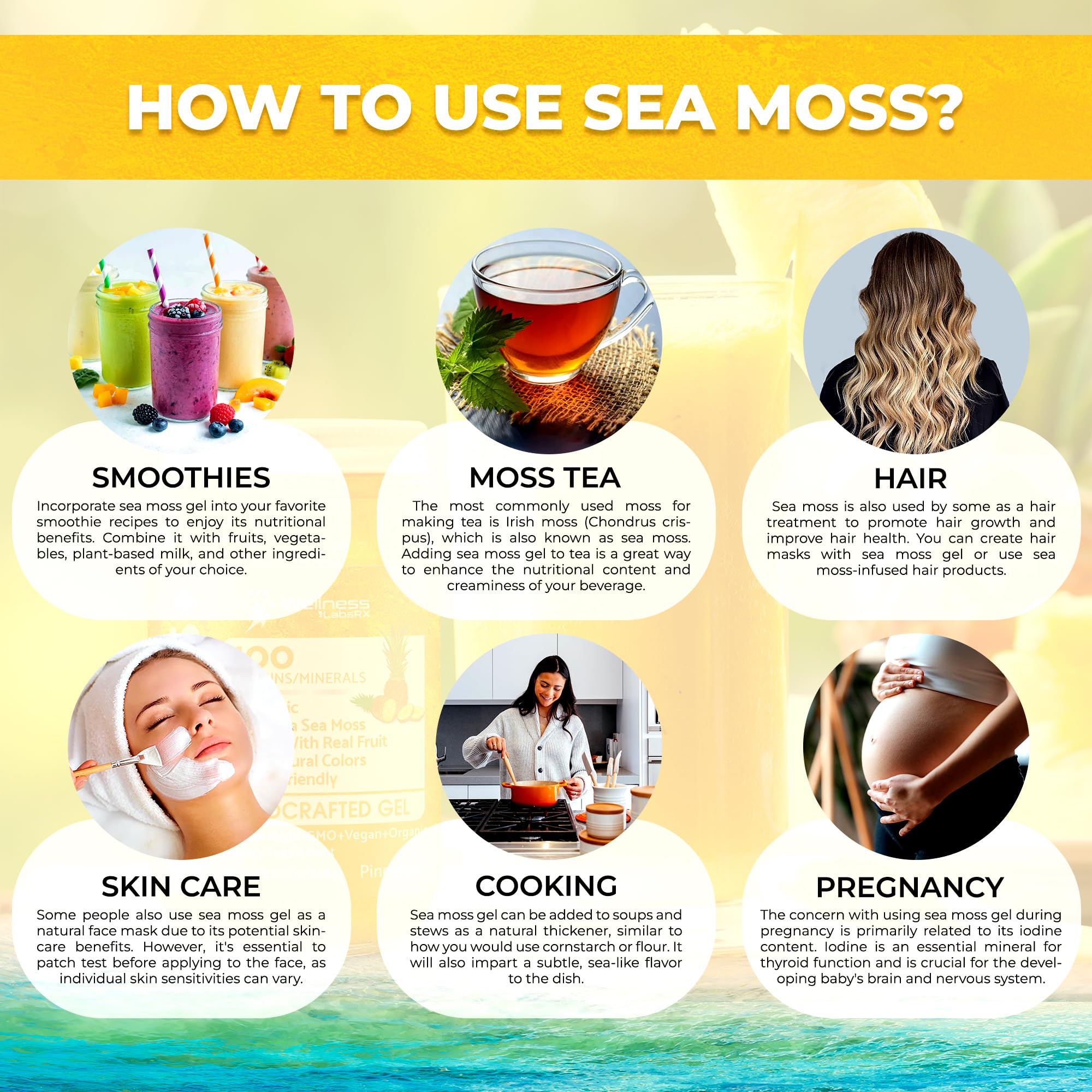 WELLNESS LABSRX Irish Sea Moss Gel Raw - Wildcrafted Superfood Seamoss Gel - Pineapple Flavor, Vitamin and Mineral-Rich from Pristine Caribbean Waters, Immune and Digestive Health Support - 10 oz.