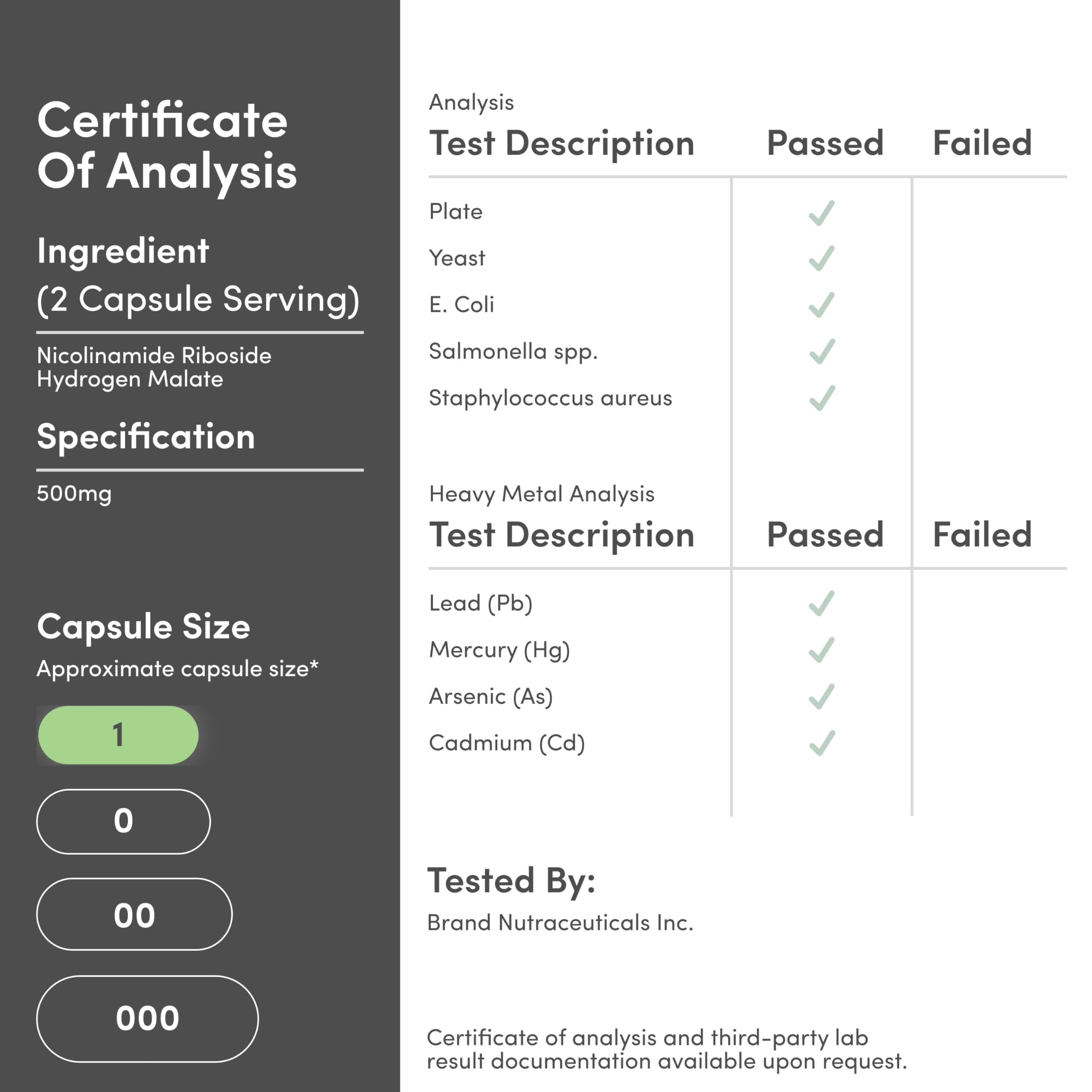 Nicotinamide Riboside - NAD Supplement to Boost Levels of NAD+ by Double Wood