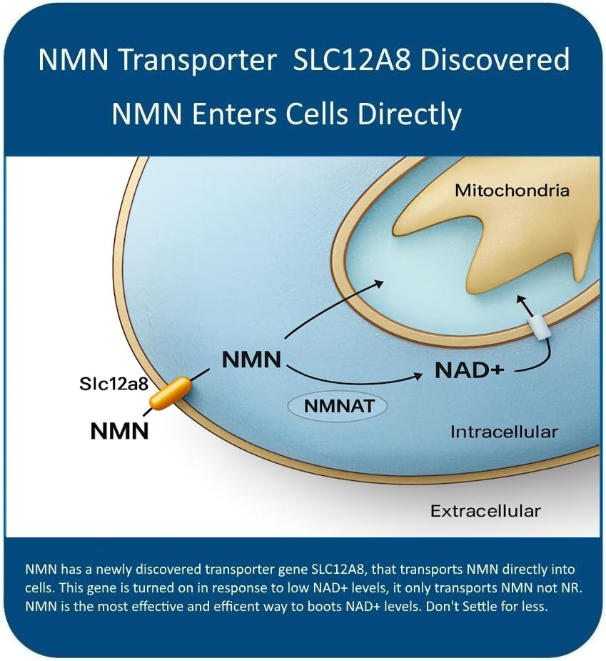 MAAC10 NMN Supplement 1000mg Serving - 99% Pure NMN Nicotinamide Mononucleotide. The Most Powerful NAD Supplement for Optimal Performance (120 Capsules 4 Per Serving).