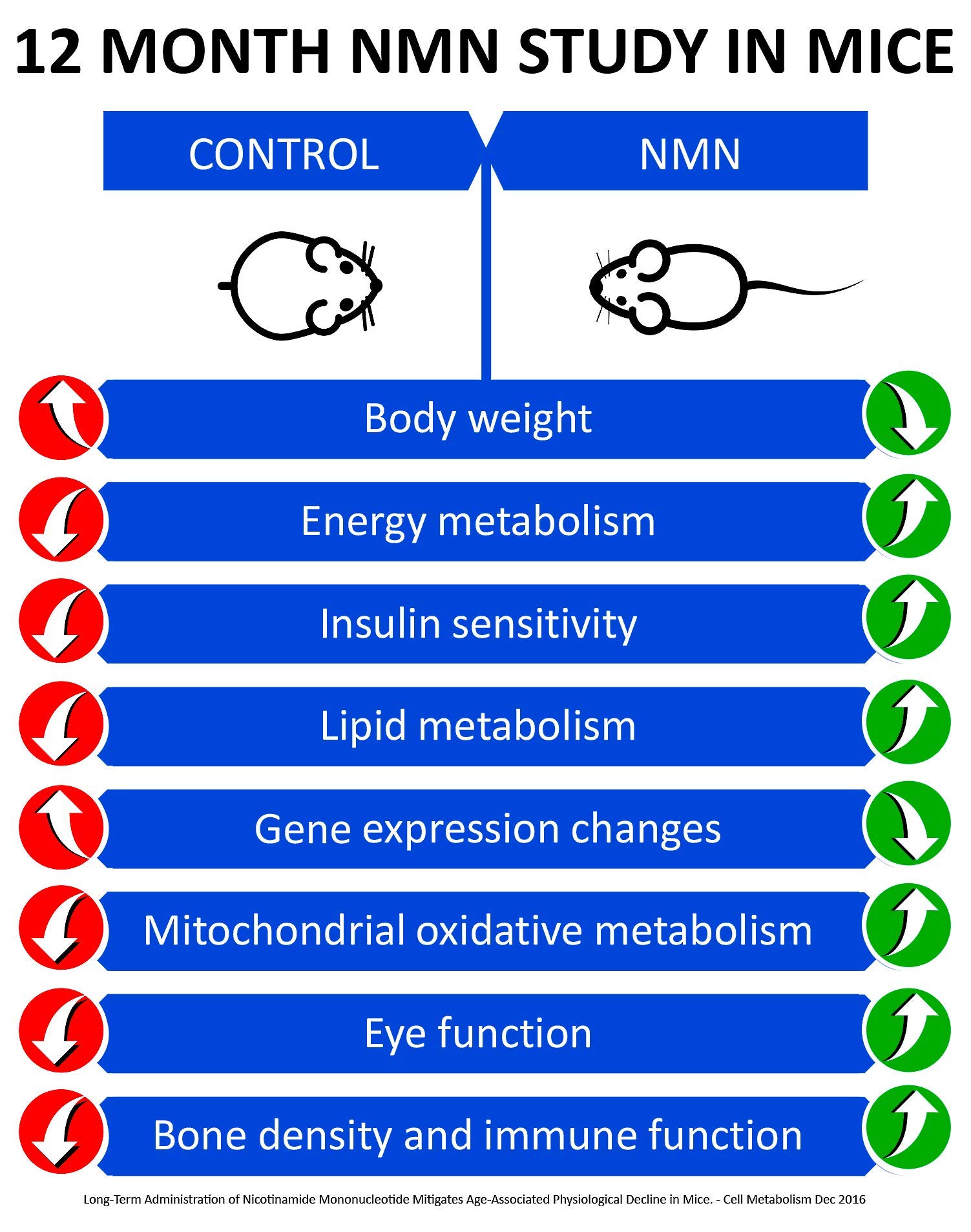 MAAC10 NMN Supplement 1000mg Serving - 99% Pure NMN Nicotinamide Mononucleotide. The Most Powerful NAD Supplement for Optimal Performance (120 Capsules 4 Per Serving).