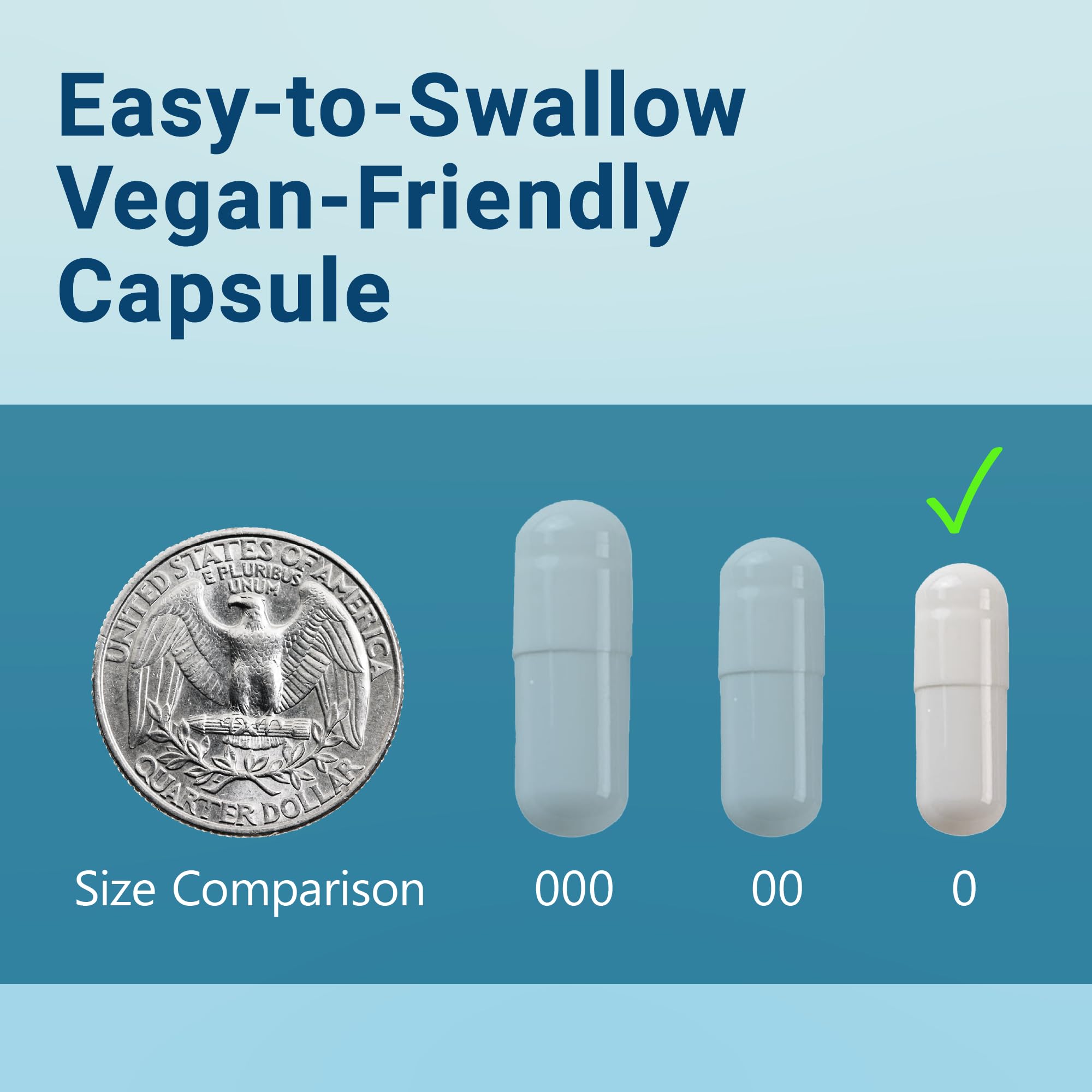 MyoActivo 5-in-1 Magnesium Complex - High Absorption - Chelated Magnesium Glycinate, Malate, Citrate, Taurate, & Aspartate for Nerves, Muscles, Bones | 120 Capsules | Magnesium Supplement