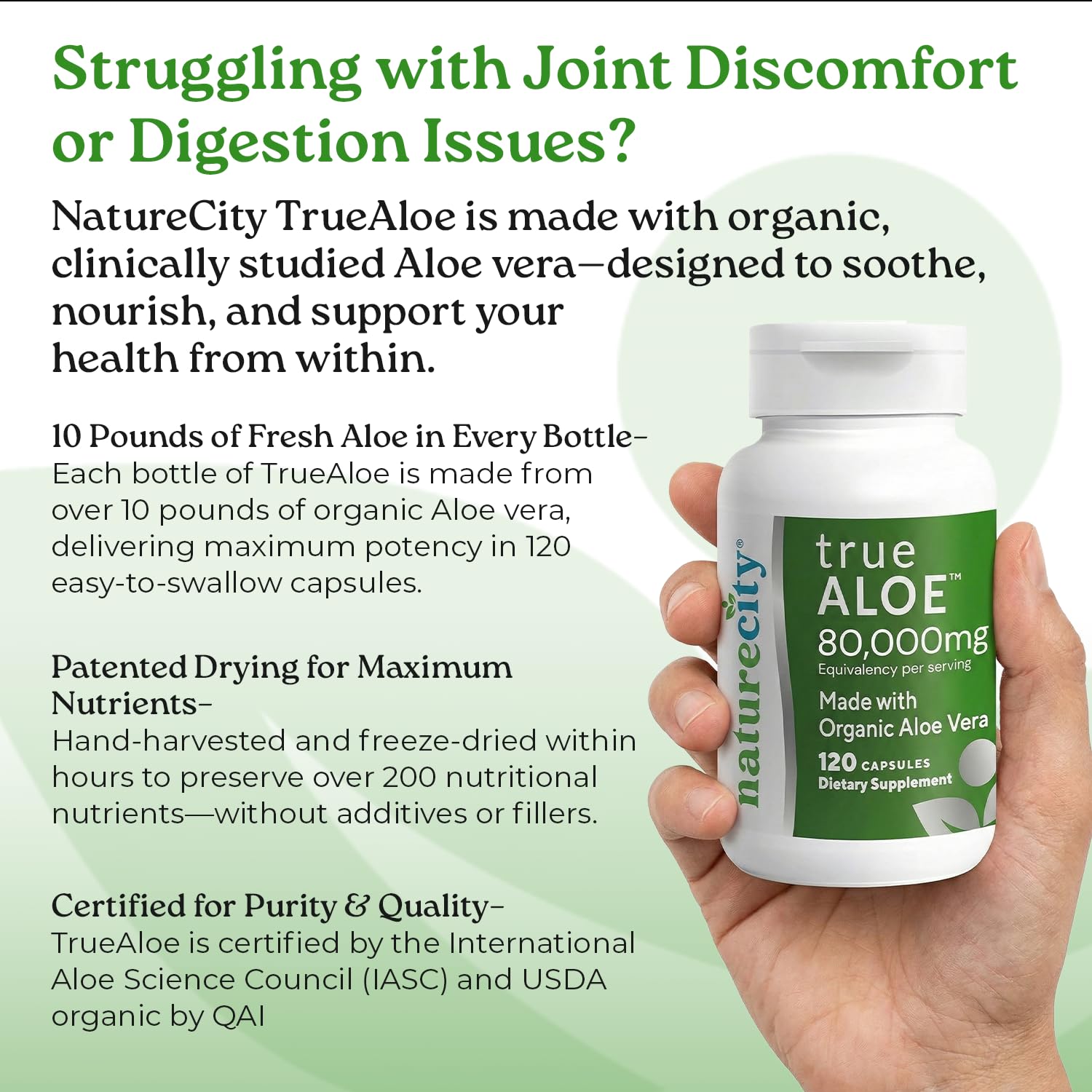 NatureCity True-Aloe Gut Health Support – 80,000mg Aloe Vera Gel Equivalent Per Serving – Organic Aloe Vera (120 Capsules) for Digestive, Skin & Joint Support | Small Easy-to-Swallow Pills
