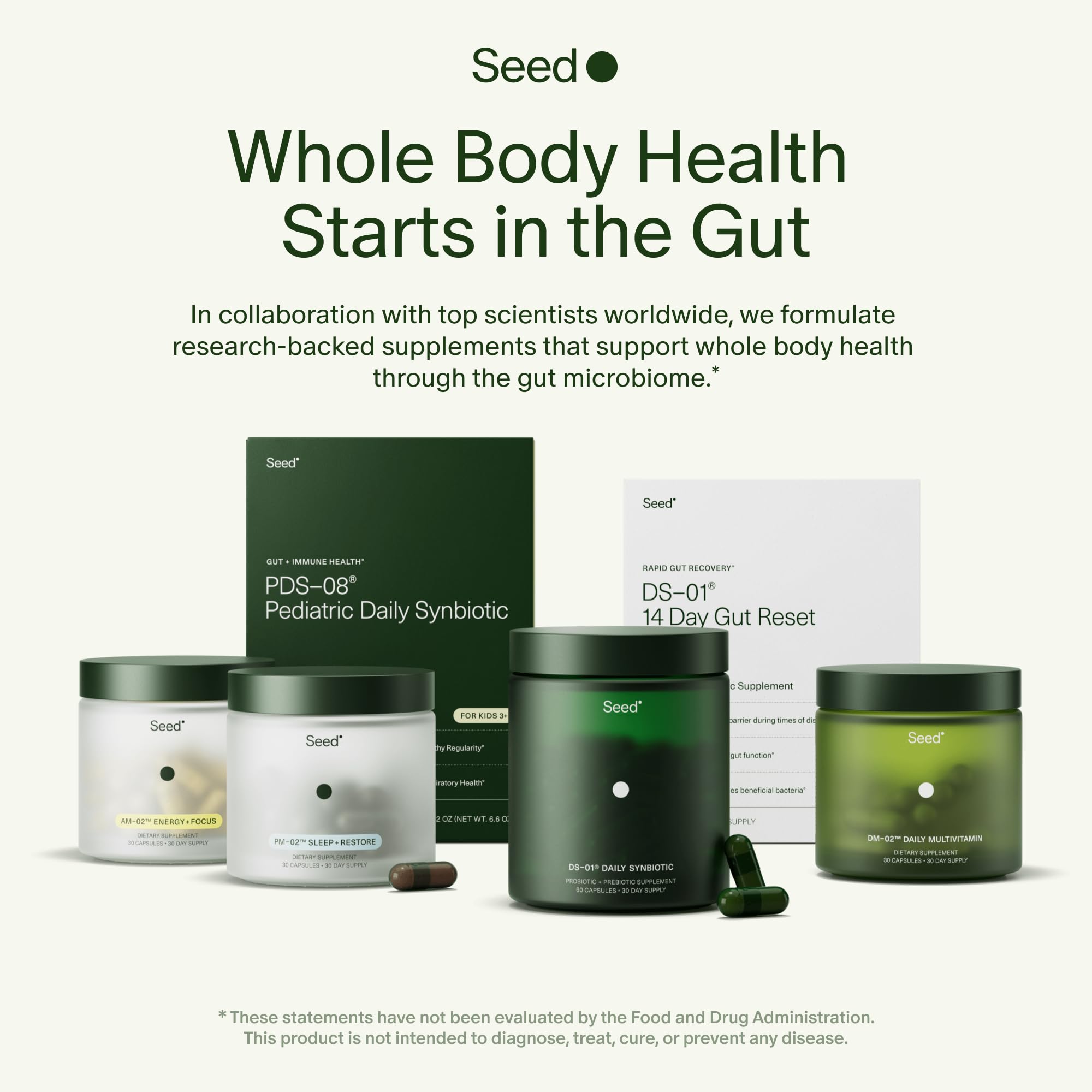 Seed AM-02 Energy + Focus - Daily Nootropic Supplement for Women & Men - Fast-Acting & Sustained Energy for Up to 6 Hours - Caffeine-Free Vegan & Shelf-Stable - 30 Capsules (30-Day Supply)