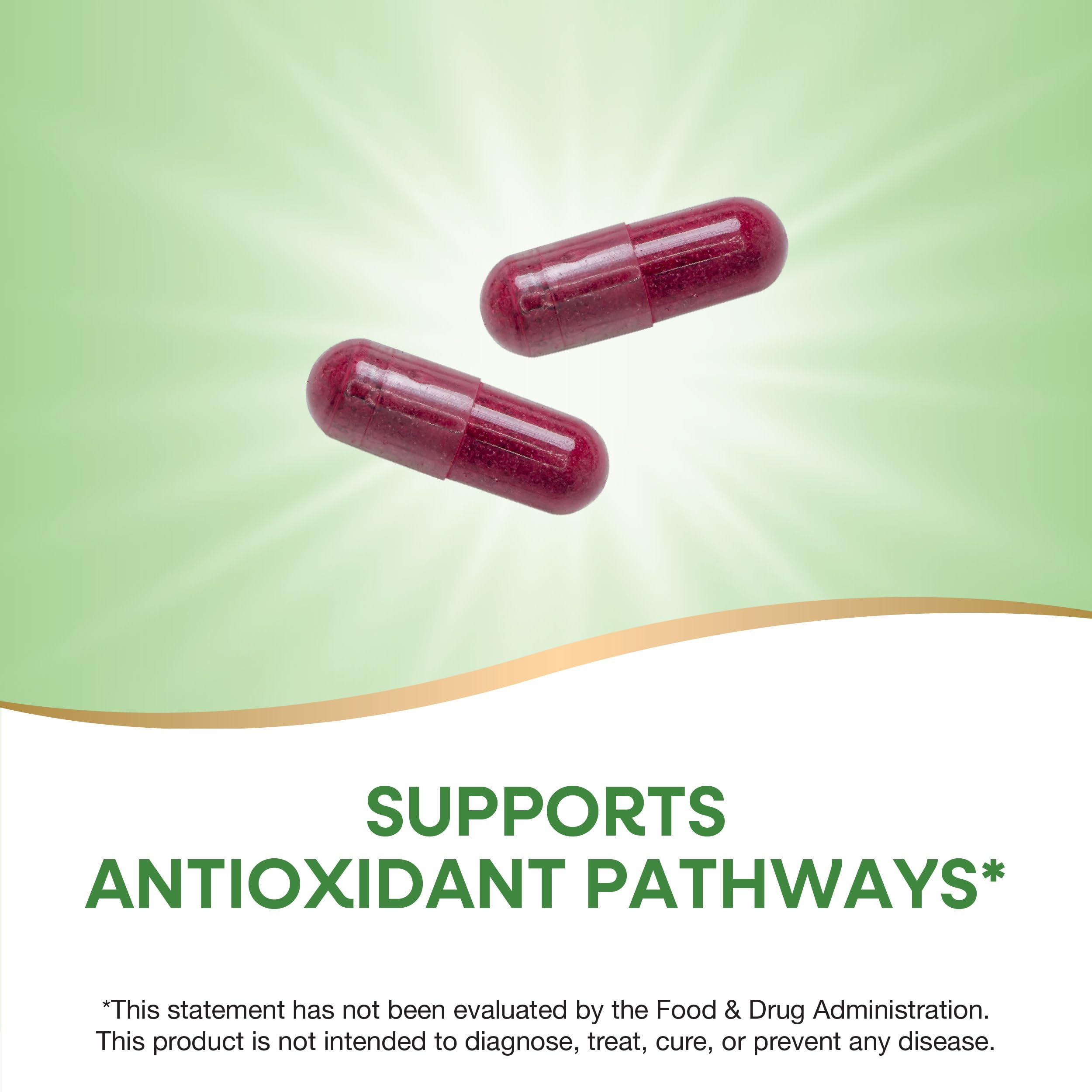 Nature's Way Beet Root Capsules, Supports Antioxidant Pathways*, Helps Neutralize Free Radicals*, 1000 mg per 2-Capsule Serving, Vegan, 320 Count (Packaging May Vary)