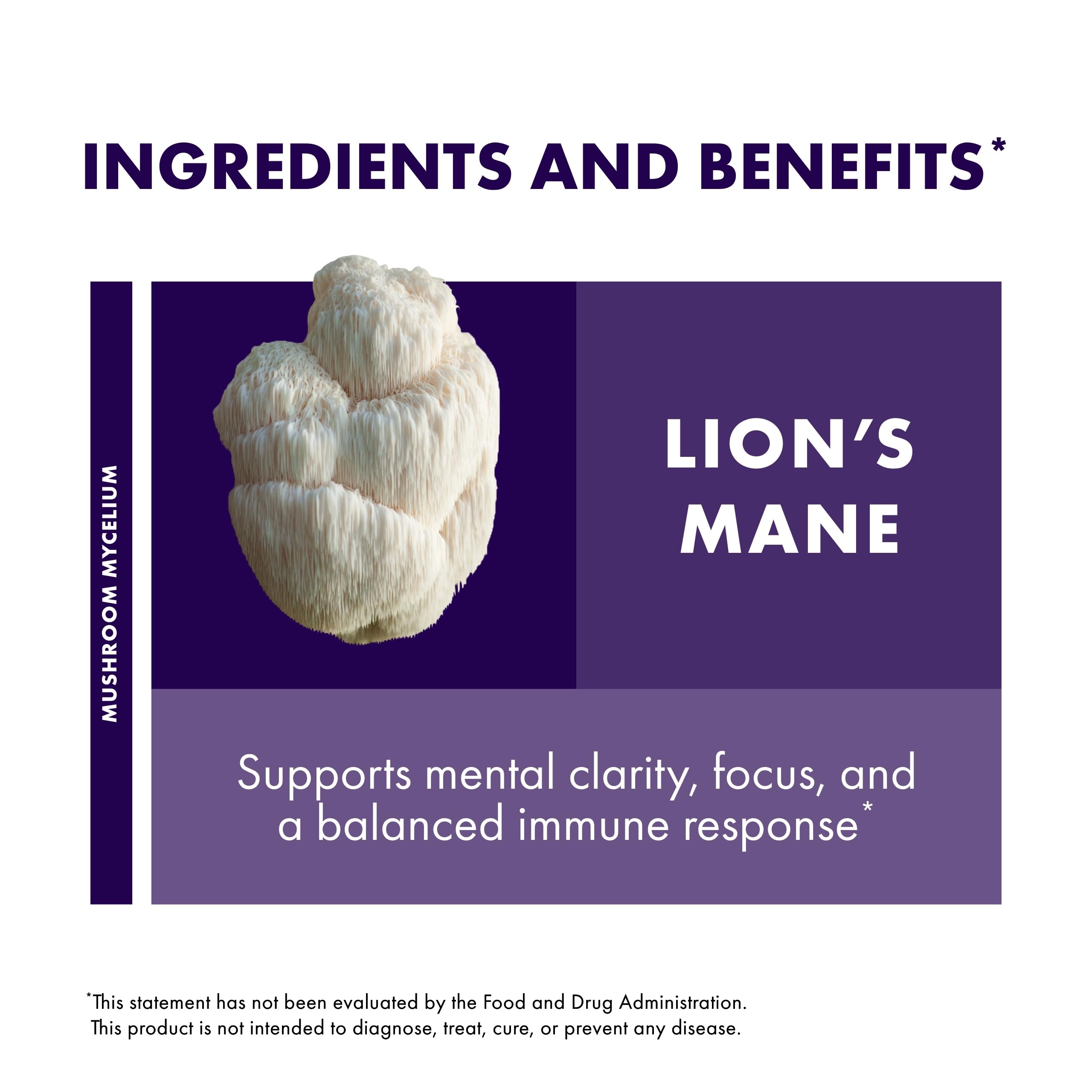 Host Defense Mushrooms Lion's Mane Extract - Lion's Mane Liquid Supplement for Brain Health - Mushroom Support for Focus & Memory Function - Immune & Nervous System Support - 2 fl oz (60 Servings)*