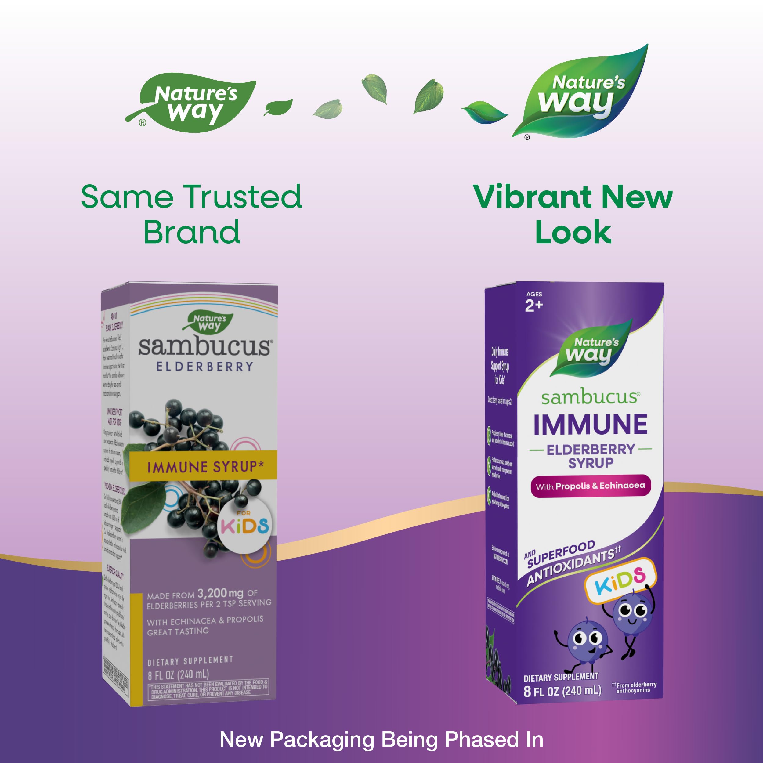 Nature's Way Sambucus Elderberry Immune Syrup for Kids Ages 2+, Echinacea & Propolis, with Superfood Antioxidants(1), Immune Support Syrup*, Vegetarian, Berry Flavored, 8 Fl Oz