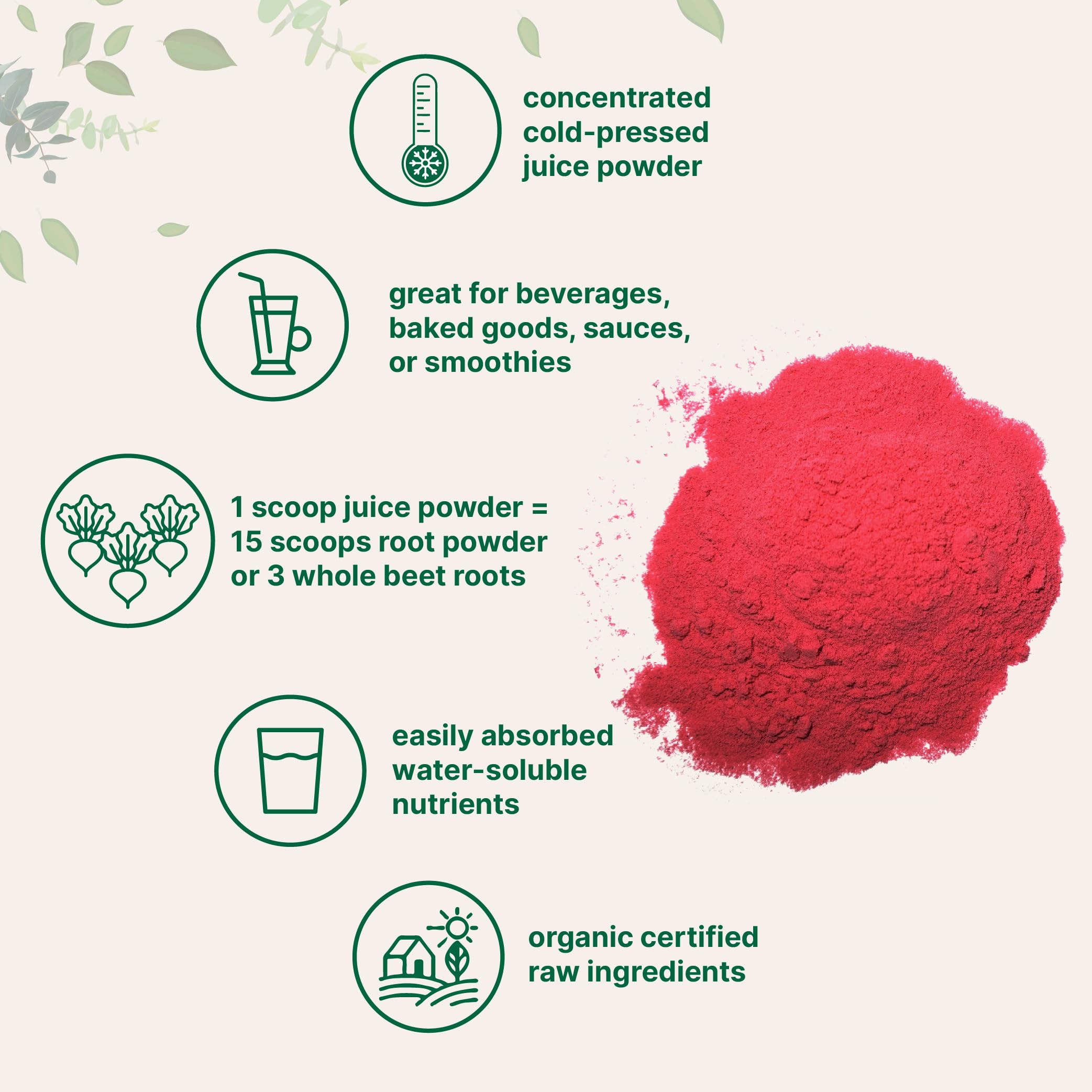 Micro Ingredients Organic Beet Root Juice Powder, 1 Pound | Cold Pressed, Water Soluble, High Concentrated Raw Beet Supplement | Superfood Drink Mix | Non-GMO, Vegan Friendly, Plant Based