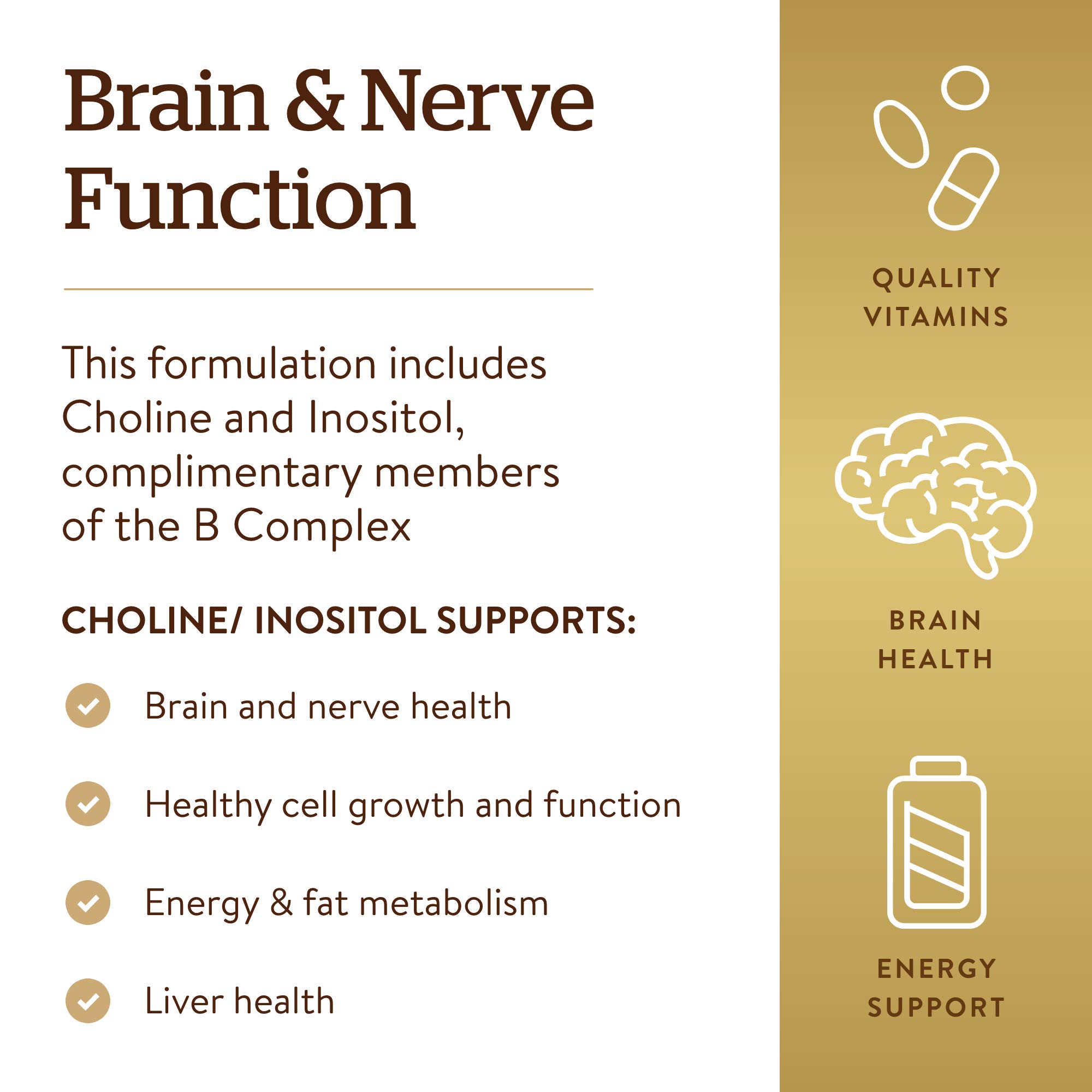 Solgar Choline/Inositol 500 mg/500 mg, 100 Vegetable Capsules - Energy Metabolism, Liver Health, Essential for Brain & Nerve Function - Non-GMO, Vegan, Gluten Free, Dairy Free, Kosher - 50 Servings