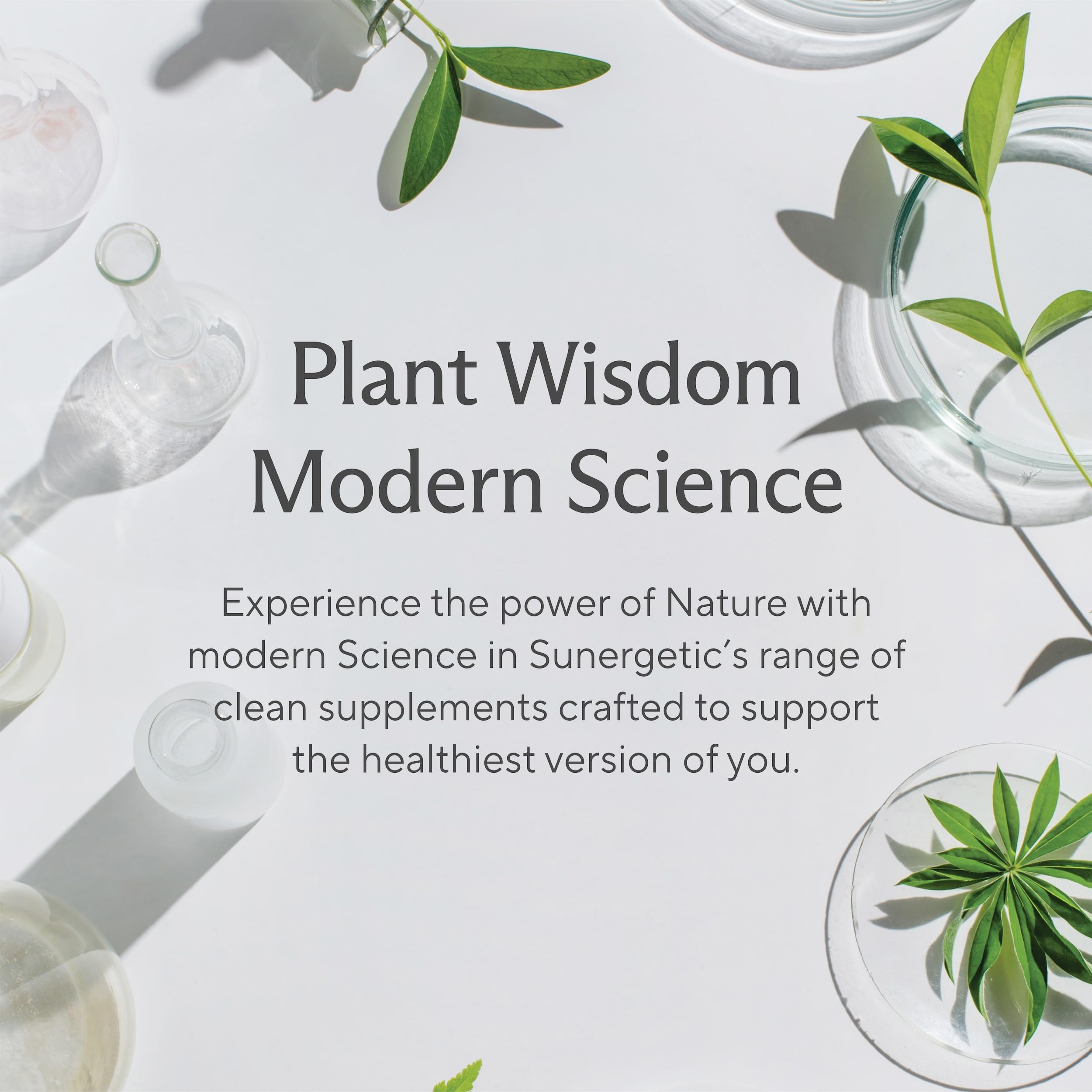 Premium Vaginal Probiotics for Women – Clinically Studied Lactobacillus Vaginal Probiotic with Prebiotic & Cranberry to Balance PH, Reduce Odor, Urinary Tract Support & Feminine Health – 60 Capsules