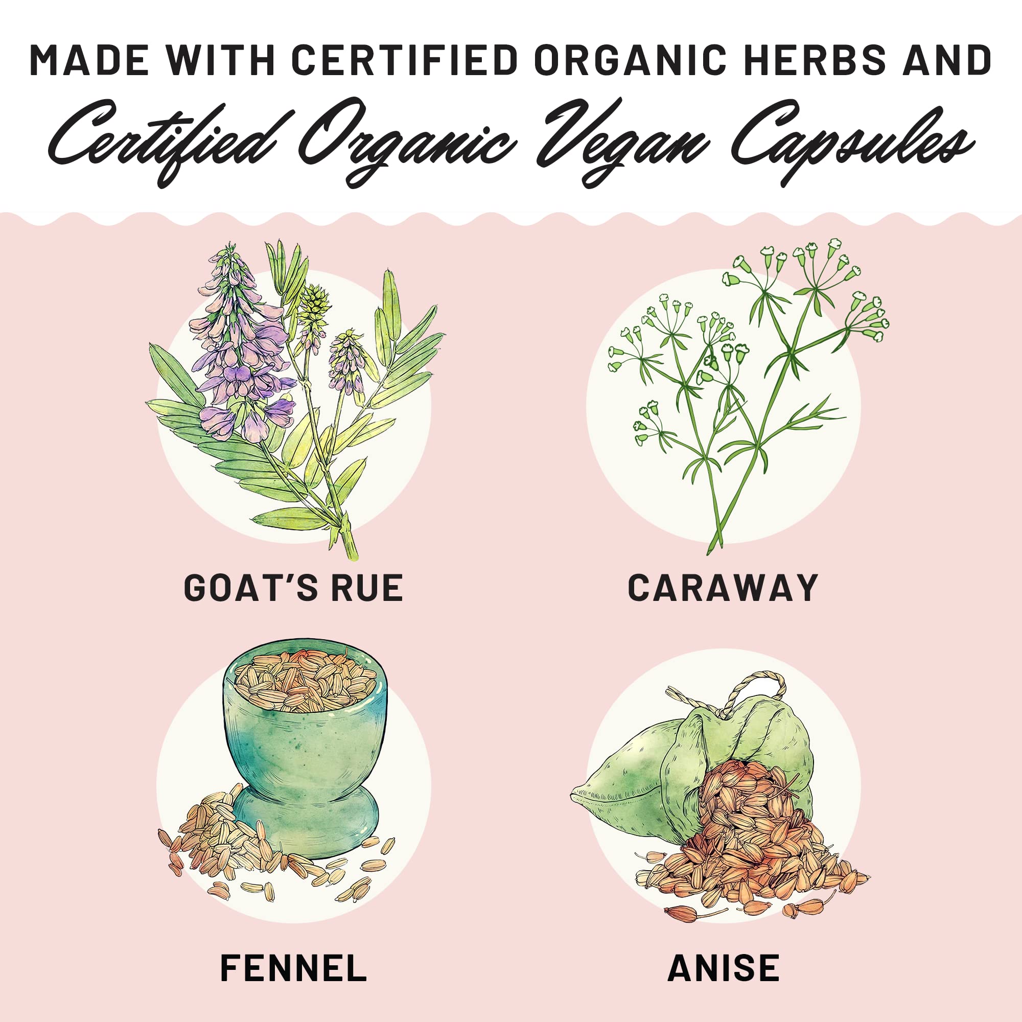 Legendairy Milk Lechita, Supports Milk Flow, Organic Fenugreek Free Breastfeeding Supplement, Organic Fennel & Anise, Made in USA, 60 Vegan Capsules