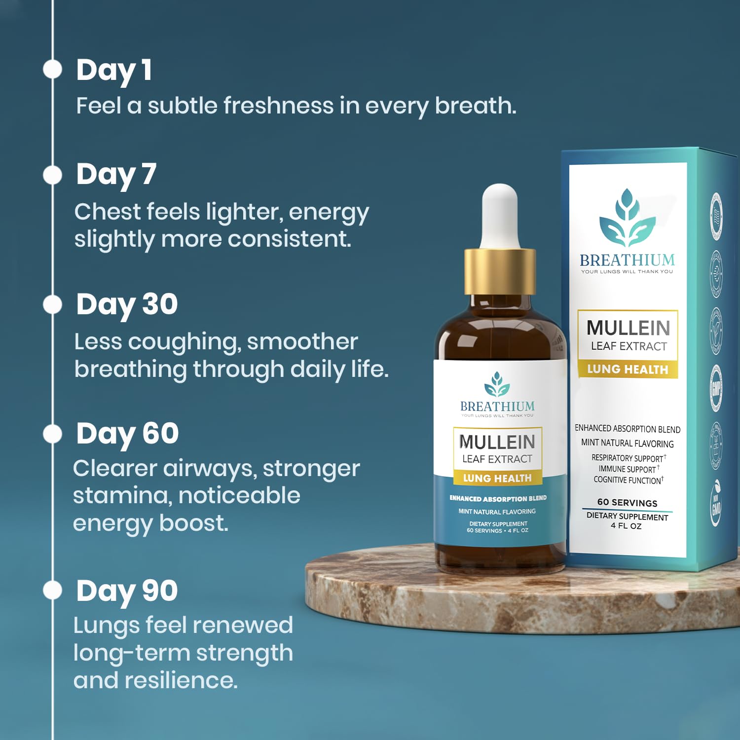 BREATHIUM 4-in-1 Mullein Drops for Lungs & Gut Health – Liposomal Mullein Leaf Extract, Made in USA, Natural Lung Detox for Smokers + Immune, Digestive, Allergy & Mucus Relief – 2oz Peppermint