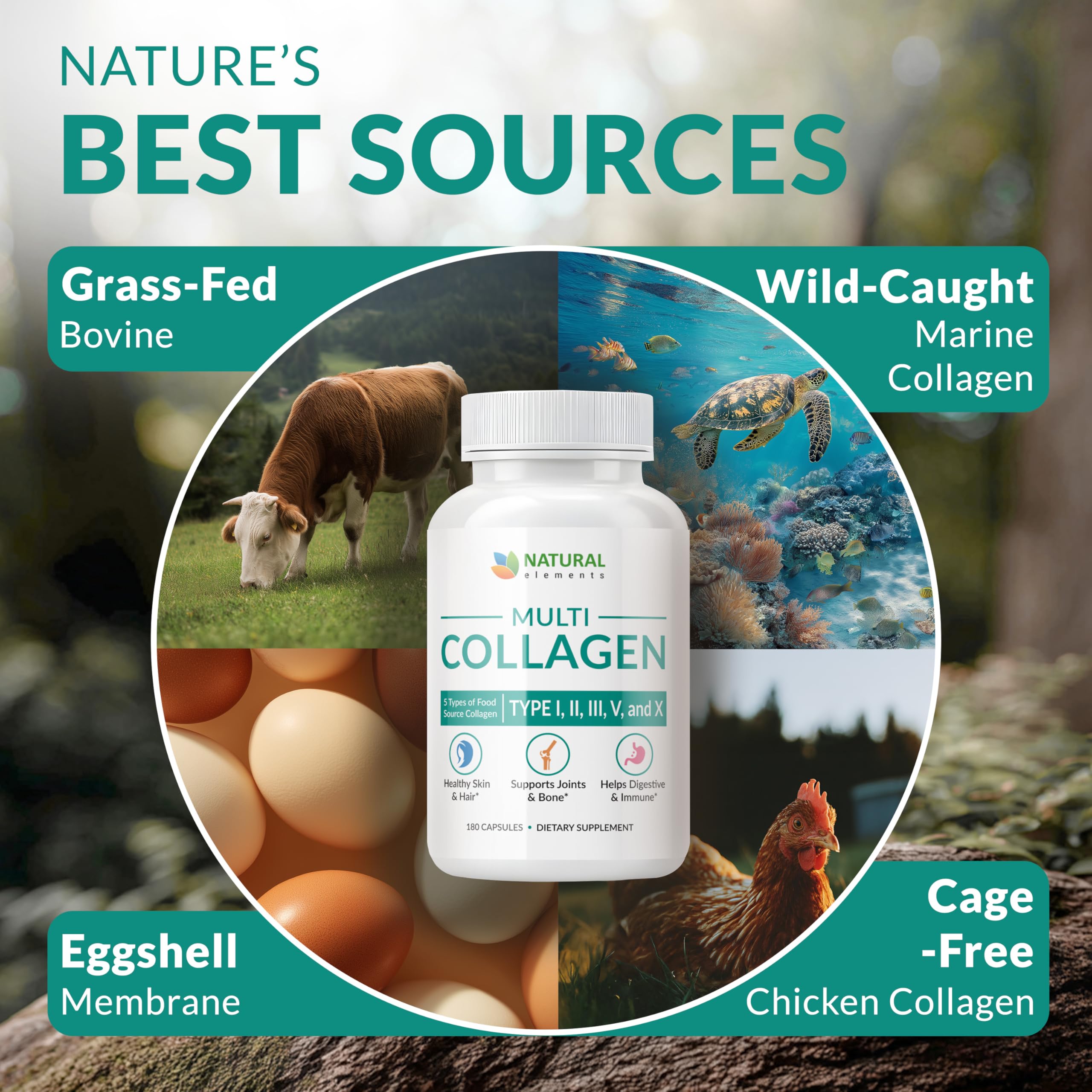 Multi Collagen 180 Protein Capsules - Type I, II, III, V, X Collagen Pills - Proprietary Blend of Eggshell, Chicken, Wild Fish & Grass-Fed Beef Collagen Peptides - 2025mg per serv