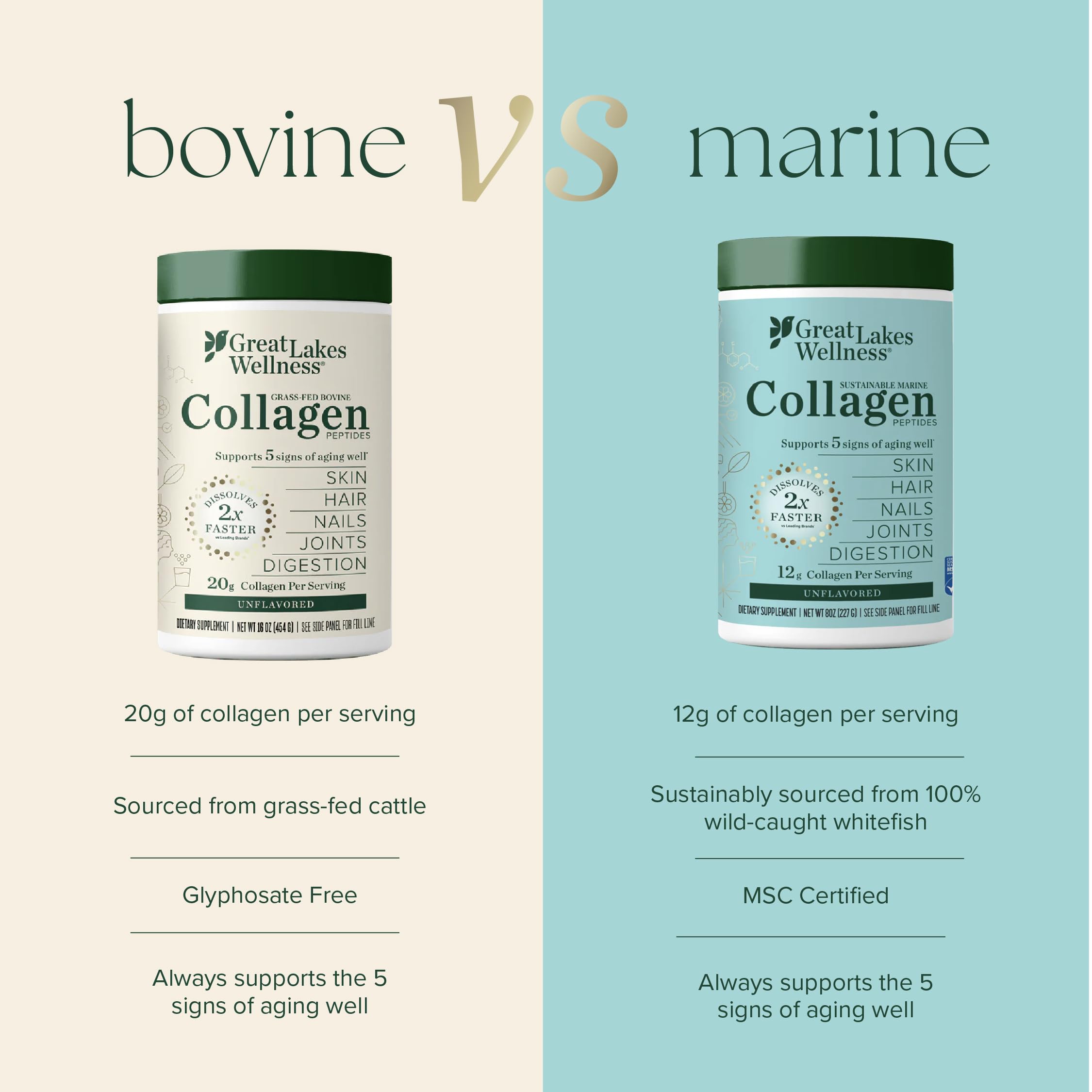 Great Lakes Wellness Sustainable Marine Collagen Peptides - Wild Caught MSC Certified - Unflavored Hydrolyzed Protein Powder - Support for Skin, Hair, Nails, Joints & Digestion - iGen Non-GMO - 8 oz