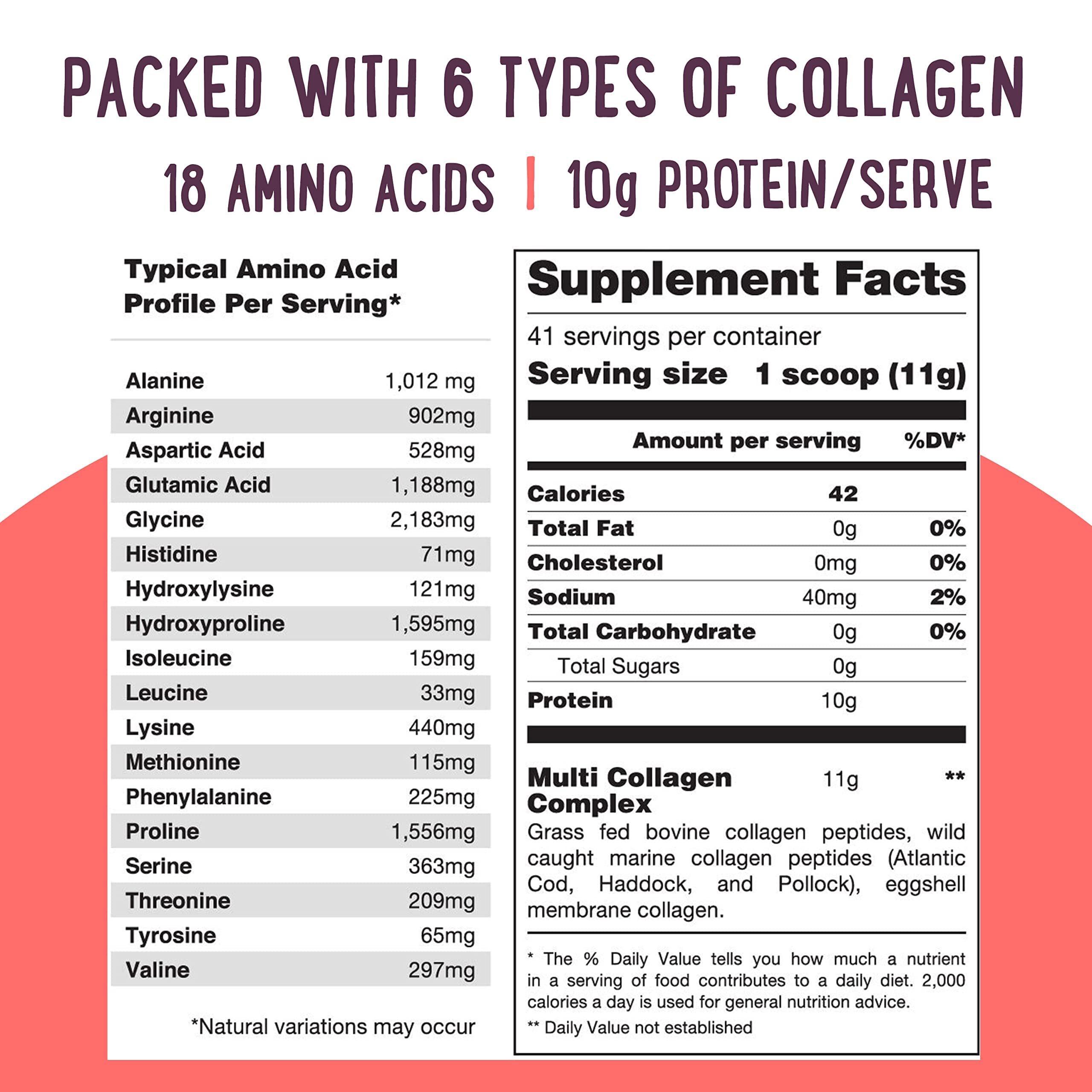 Multi Collagen Protein Powder Type I II III IV V X - Unflavored & Hydrolyzed 16Oz Pure Collagen Peptides Powder - Grass Fed Beef, Wild Fish Marine & USA Eggshell - Whole Body Collagen
