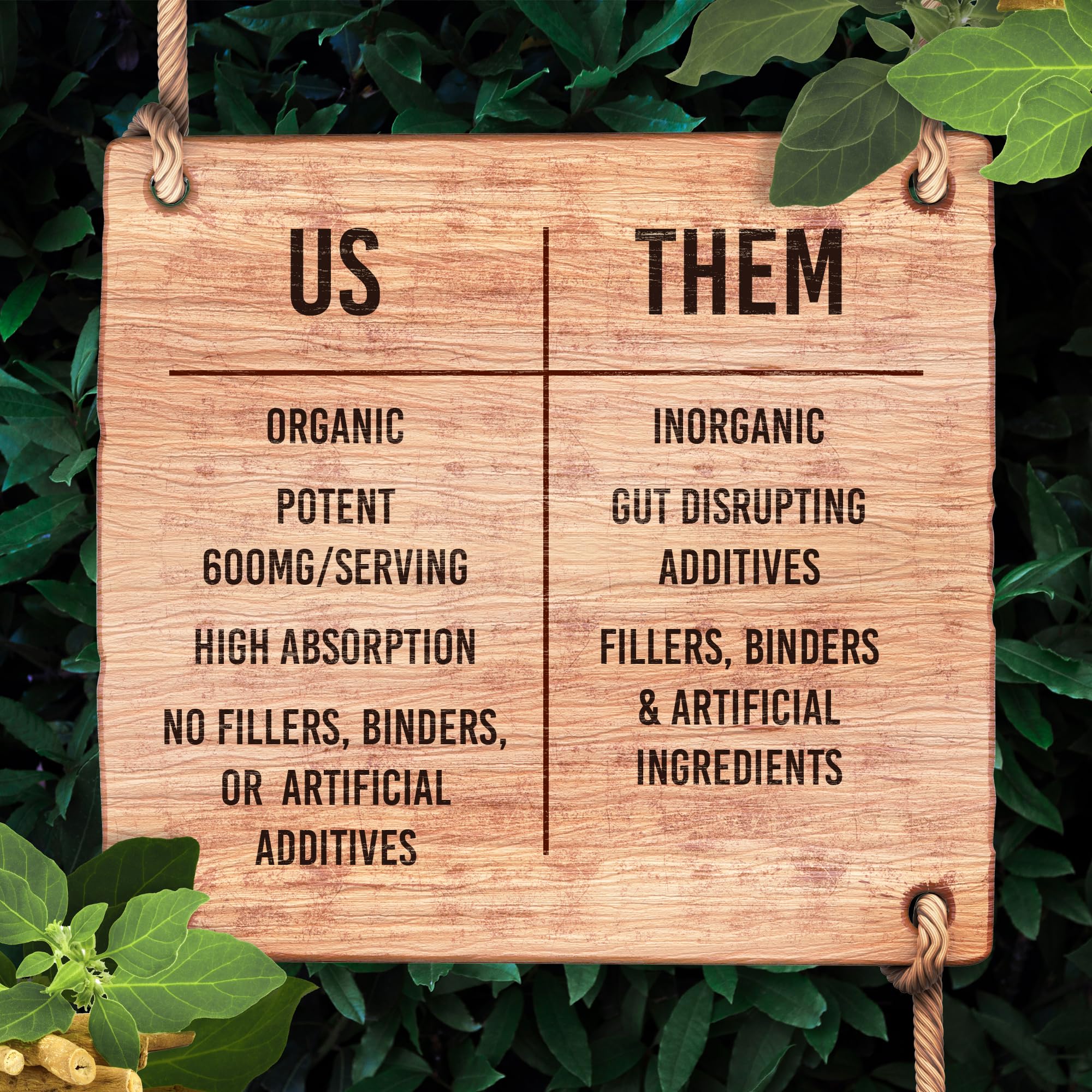 Santa Cruz Paleo, Ashwagandha Root with BioPerine, Herbal Supplement for Focus, Stress Support Adaptogen for Men and Women, Gluten Free, Vegetarian, Keto Friendly, 600MG Capsules, 60 Count