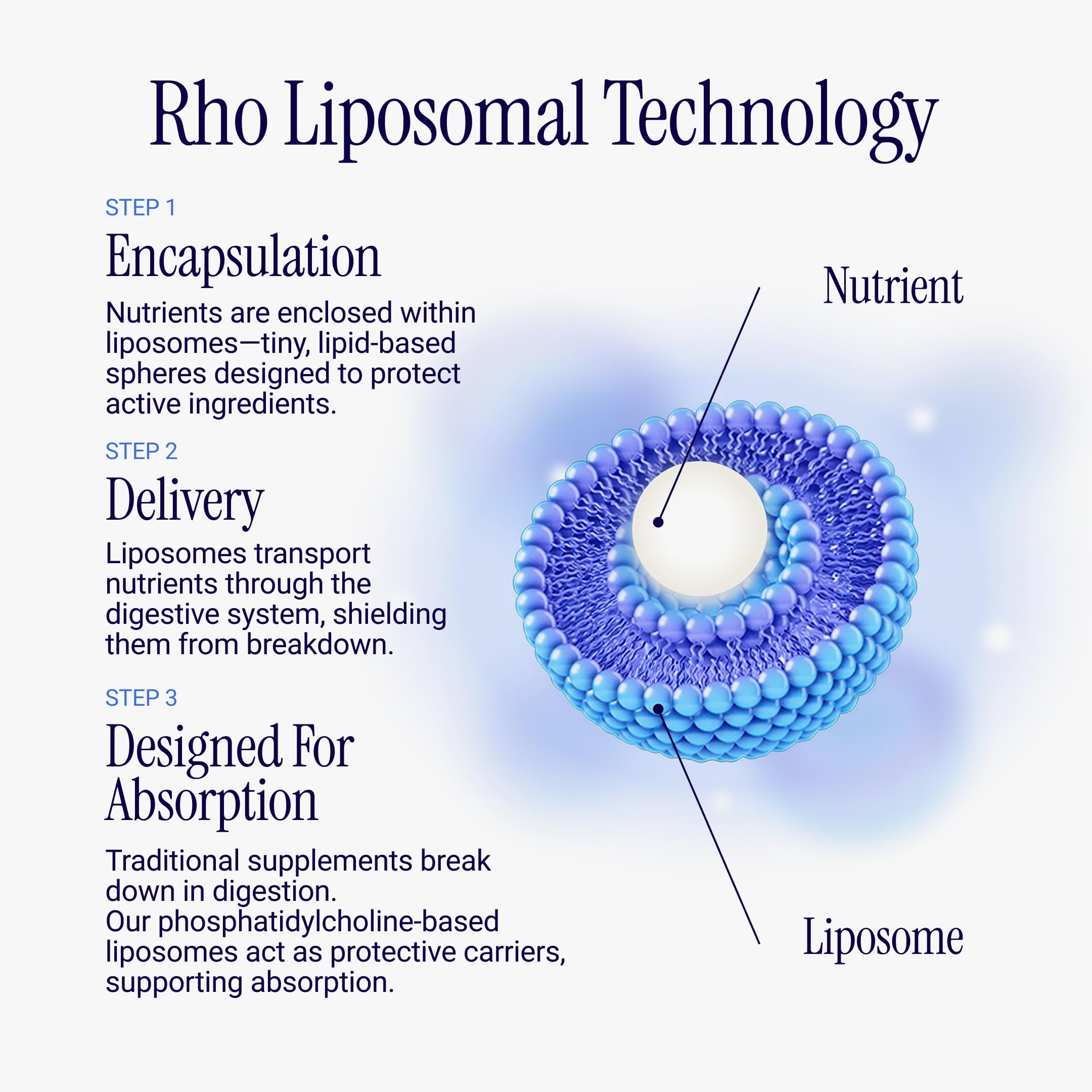 Rho Nutrition Liposomal D3K2 – Ultra High Absorption Liquid Vitamins D3 and K2 Supplement – Supports Immune System & Overall Health; Supports Strong Bones & Muscles, and a Healthy Heart