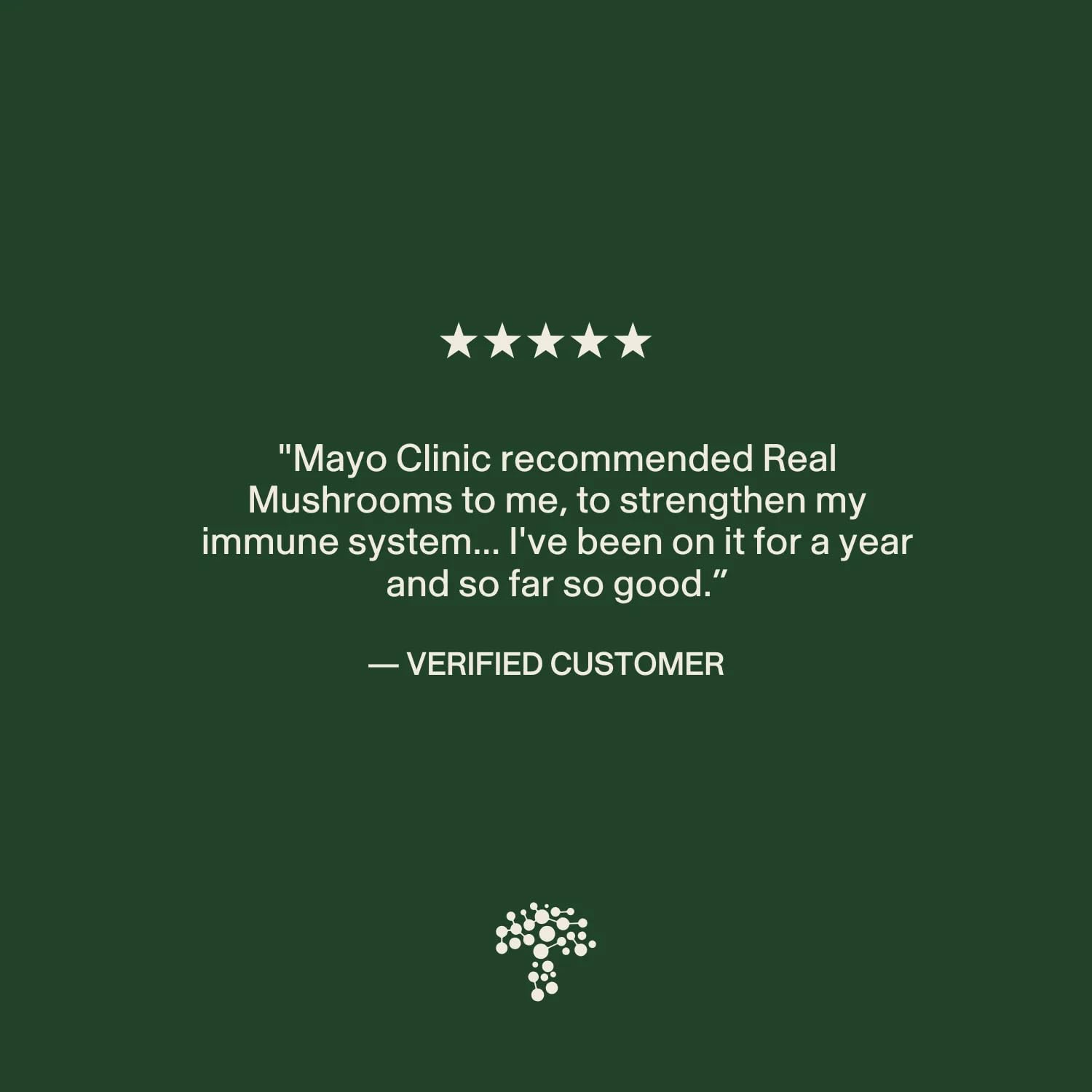 Real Mushrooms Turkey Tail Capsules – Organic Mushroom Extract for Wellness & Daily Rhythm – Vegan, Non-GMO, No Fillers Turkey Tail Extract – 90 Count Mushroom Supplement