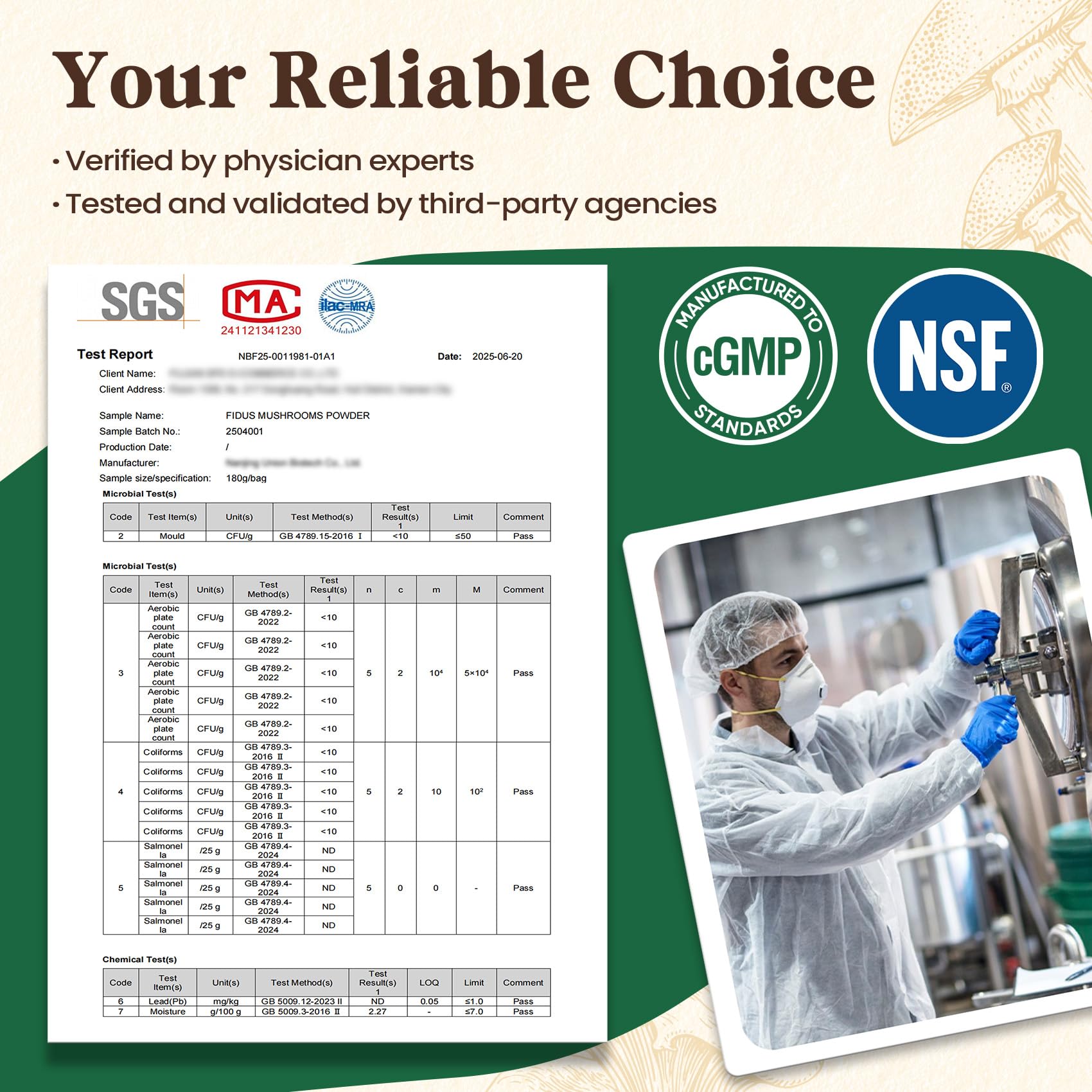 Fidus 16 Mushroom Supplement Powder with 17,300mg, 90 Day Servings Mushroom Coffee Alternative for Immunity, Focus & Energy with Ashwagandha, Lion's Mane, Chaga and Reishi, 100% Fruiting Bodies