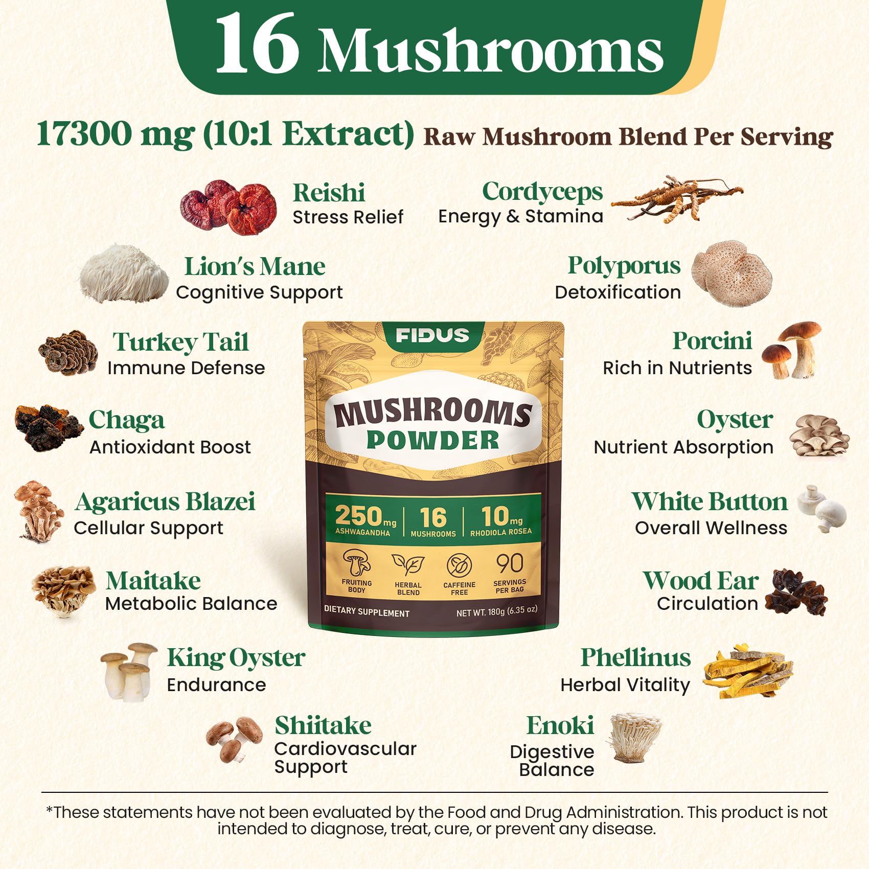 Fidus 16 Mushroom Supplement Powder with 17,300mg, 90 Day Servings Mushroom Coffee Alternative for Immunity, Focus & Energy with Ashwagandha, Lion's Mane, Chaga and Reishi, 100% Fruiting Bodies