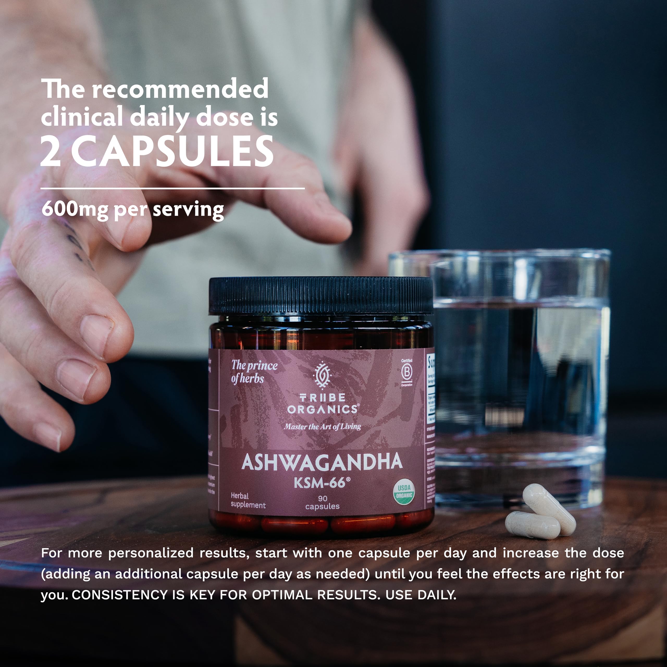 TRIBE ORGANICS Ashwagandha KSM 66 Pure Organic Root Powder Extract Ayurvedic Supplement - Focus Mood Support Increase Energy Strength 600mg of Natural KSM66 for Superior Absorption - 90 Capsules