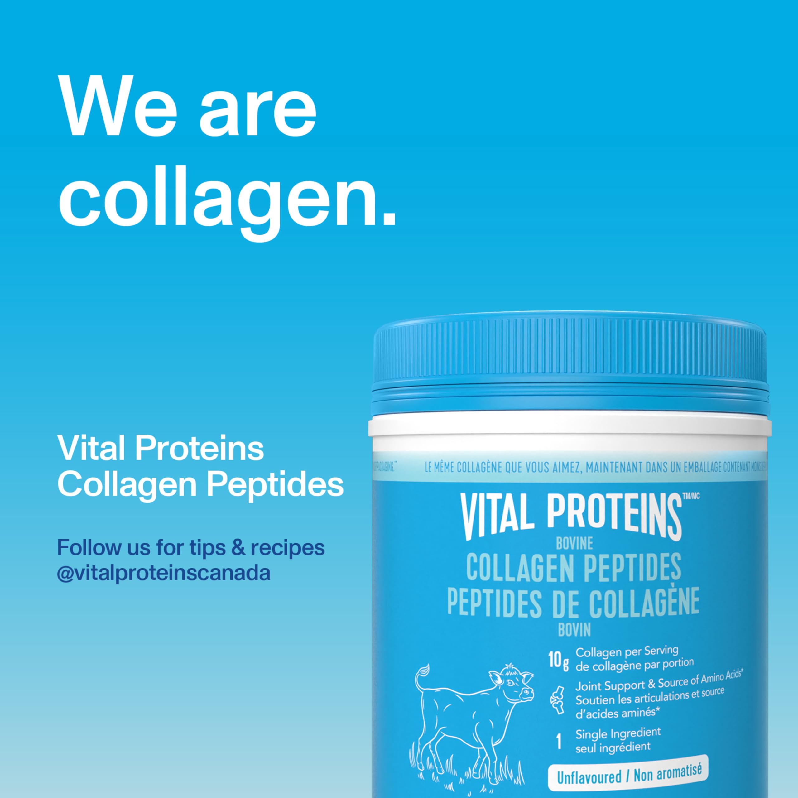 Vital Proteins Unflavoured Collagen Peptides, 567 GR