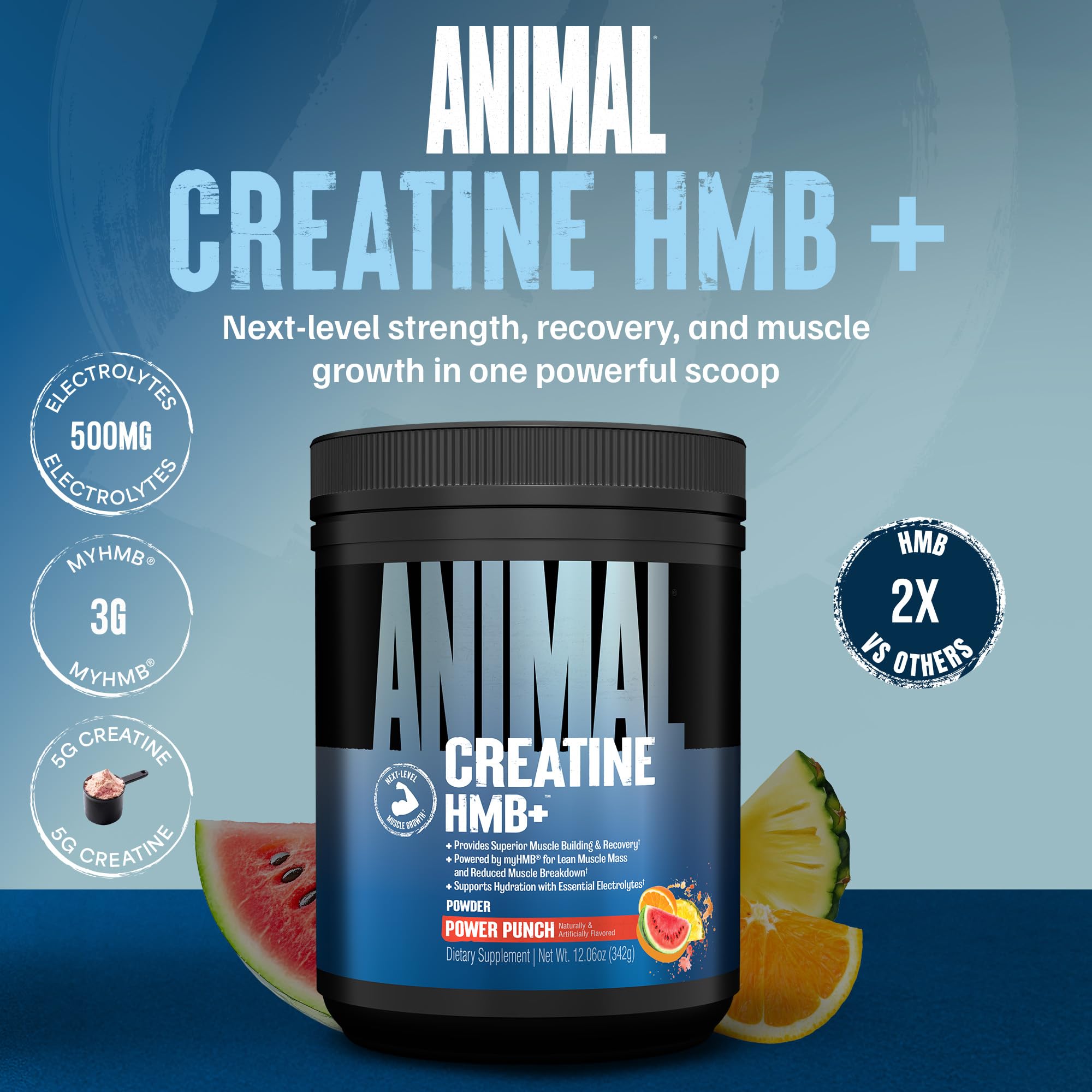 Animal Creatine HMB Powder – 3g myHMB + 5g Creatine with Electrolytes for Recovery & Daily Energy – Power Punch Flavor, 30 Servings