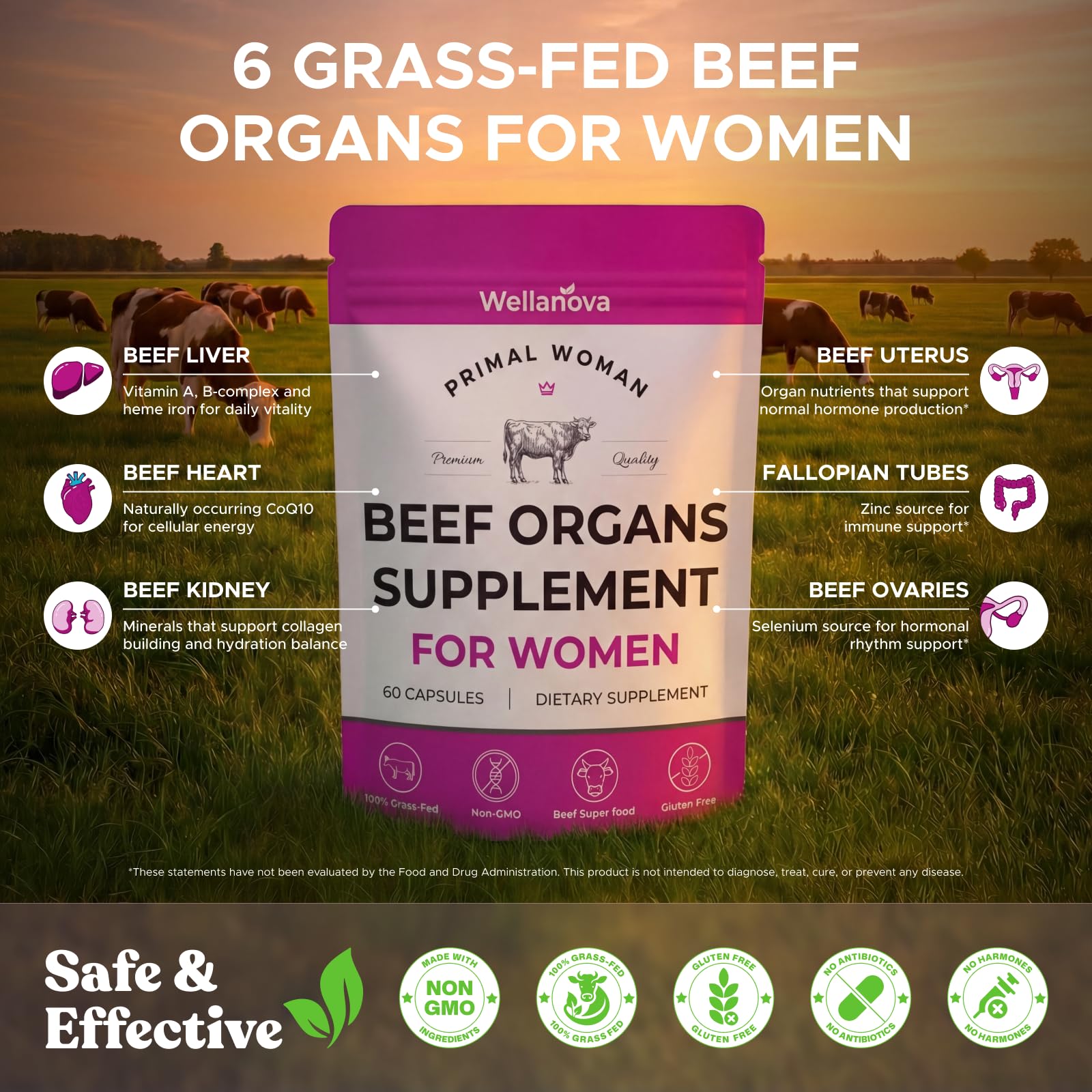 Primal Beef Organ Supplement for Women, Grass-Fed Ancestral Superfood Supplement with Uterus & Liver for Hormone Balance & Queen Energy - 60 Day Supply