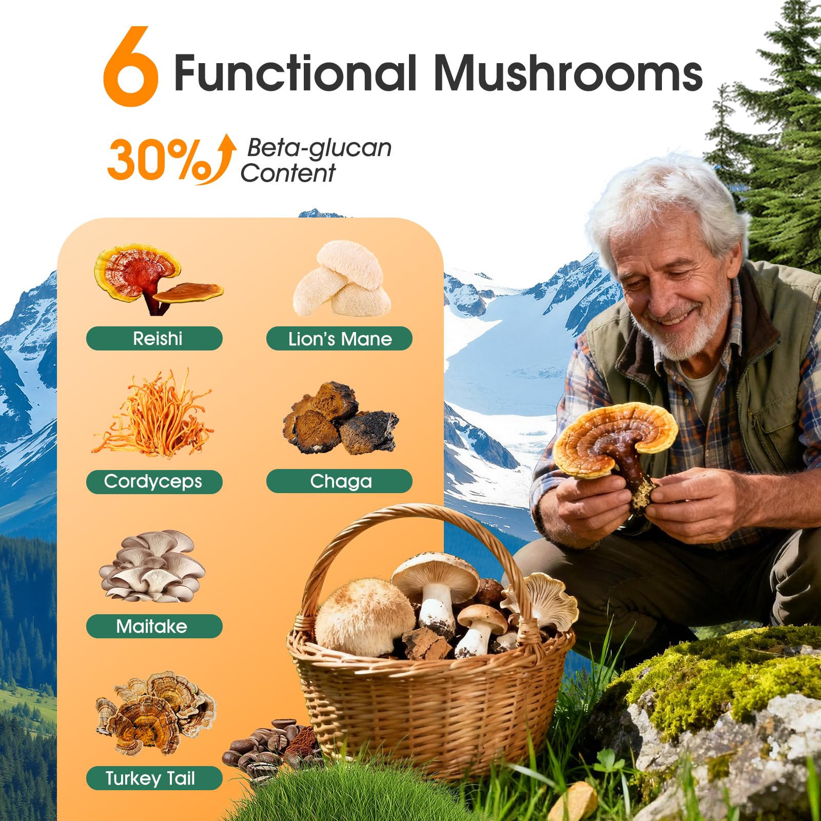 Mushroom Coffee with Collagen, Vitamins & Minerals, 6 Adaptogenic Mushrooms - Lion’s Mane, Reishi, Chaga & More, Organic Instant Coffee for Energy, Focus, Skin, Immune & Gut Support, 30 Servings