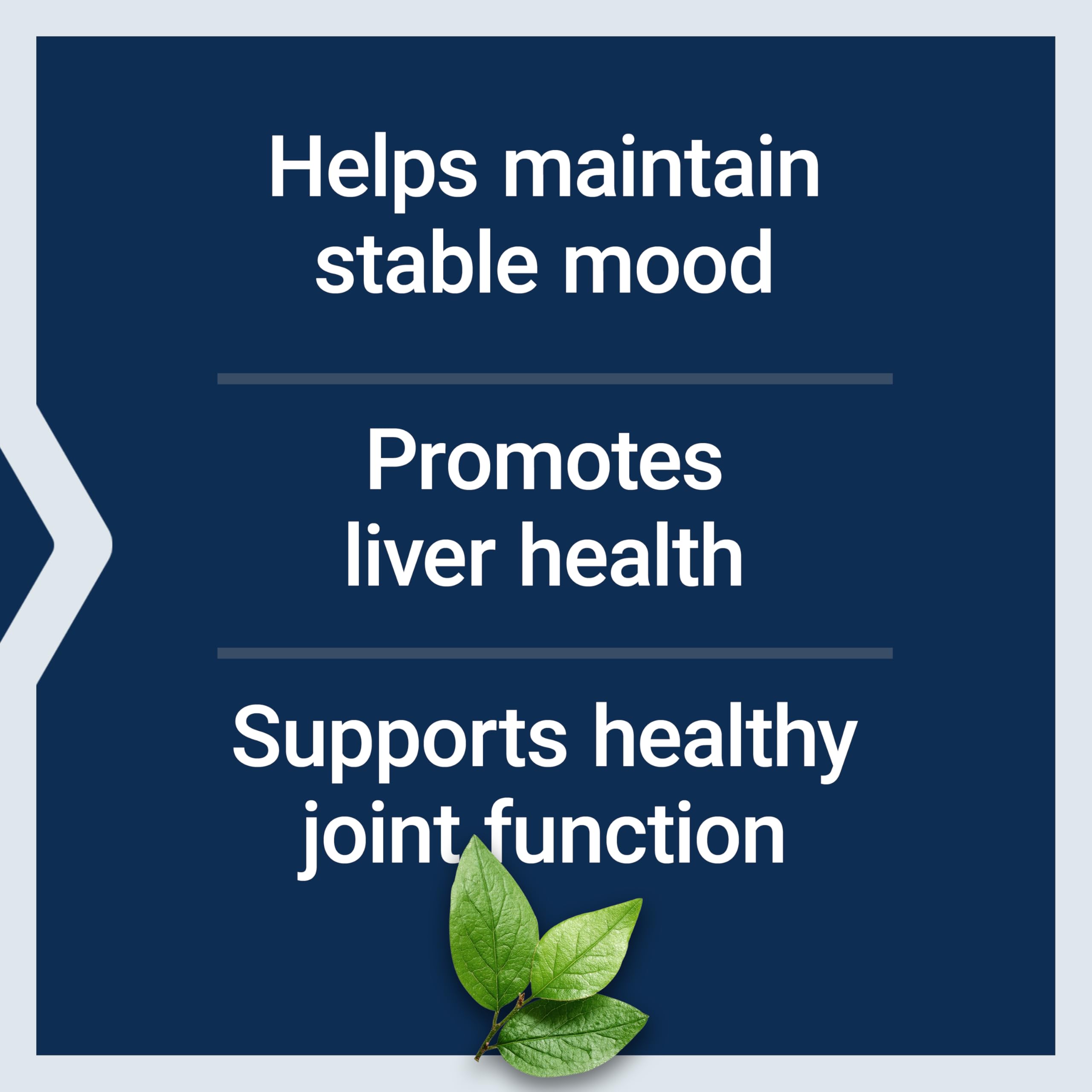 Life Extension Same, S-Adenosyl-Methionine, 400 mg, Best-Selling Mood Health, Liver Health and Joint Support Supplement, Non-GMO, Vegetarian, Gluten Free, 60 enteric-Coated Tablets