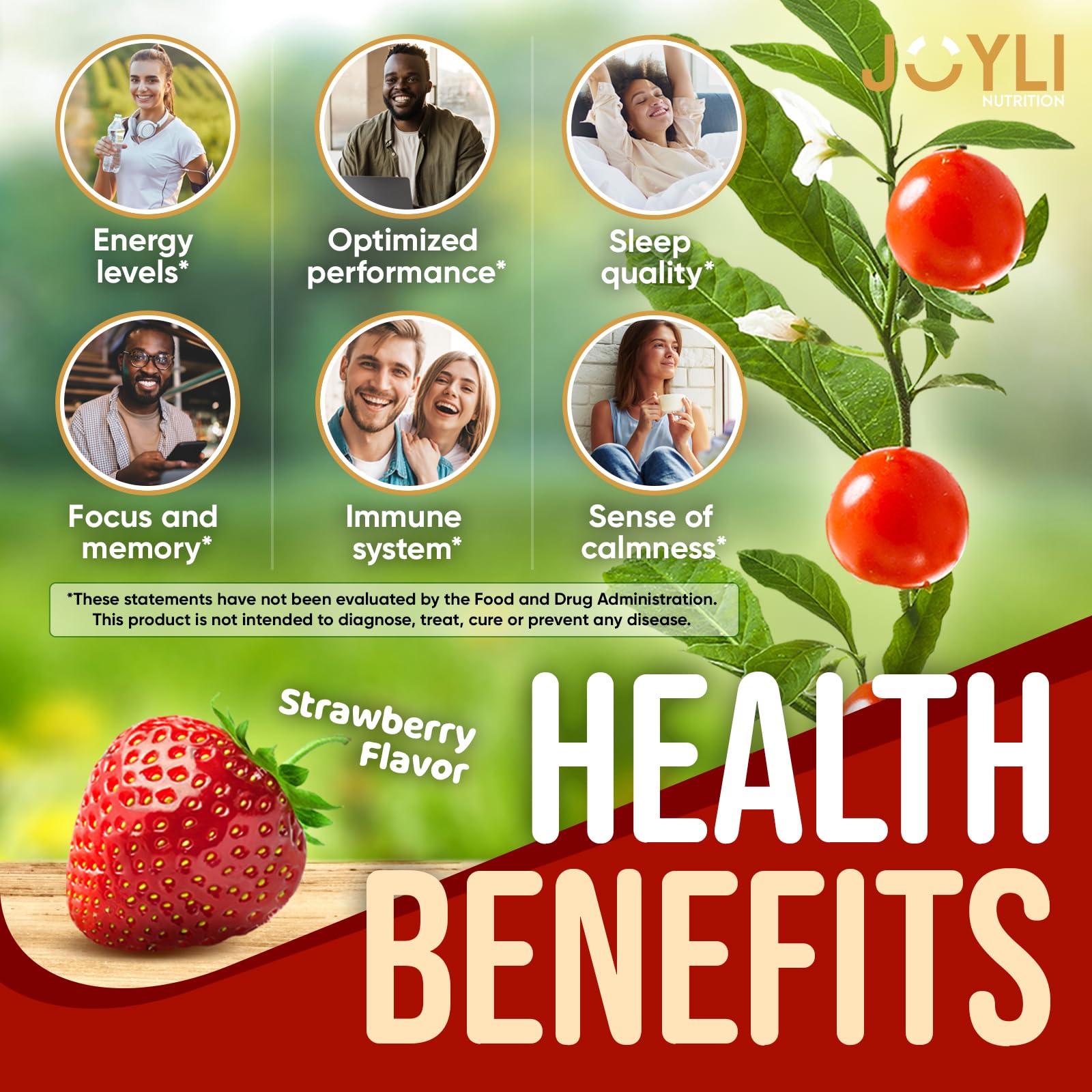 [2 Pack] Ashwagandha Gummies for Women & Men — Natural Soothing Gummies with Pure Ashwagandha Root Extract Vitamin C Zinc — Ashwagandha Supplements for Focus & Rest — 120 Sugar Free Chews