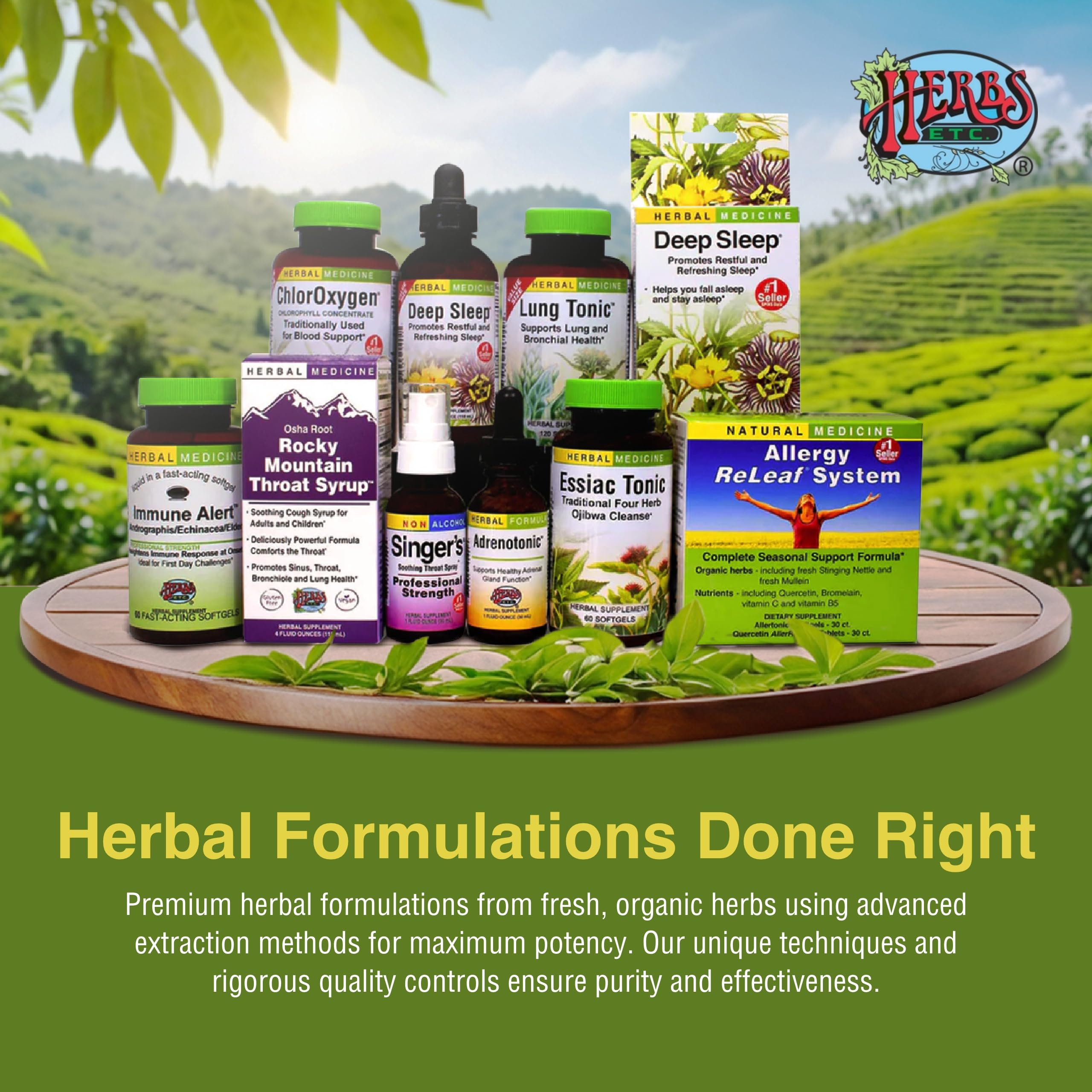 Herbs Etc. ChlorOxygen Chlorophyll Concentrate - Aids Healthy Blood Circulation - High-Altitude Environment Support - Energy Support - 60 Softgels (60 Servings)